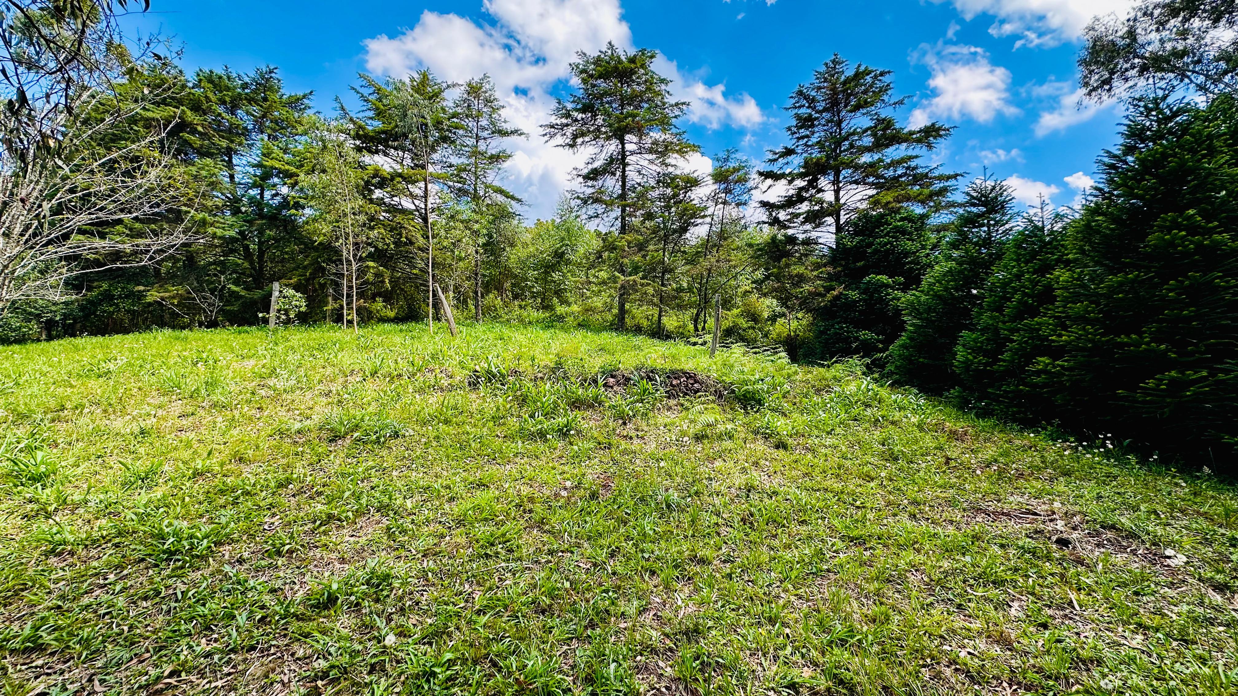 Fazenda à venda, 4337m² - Foto 10