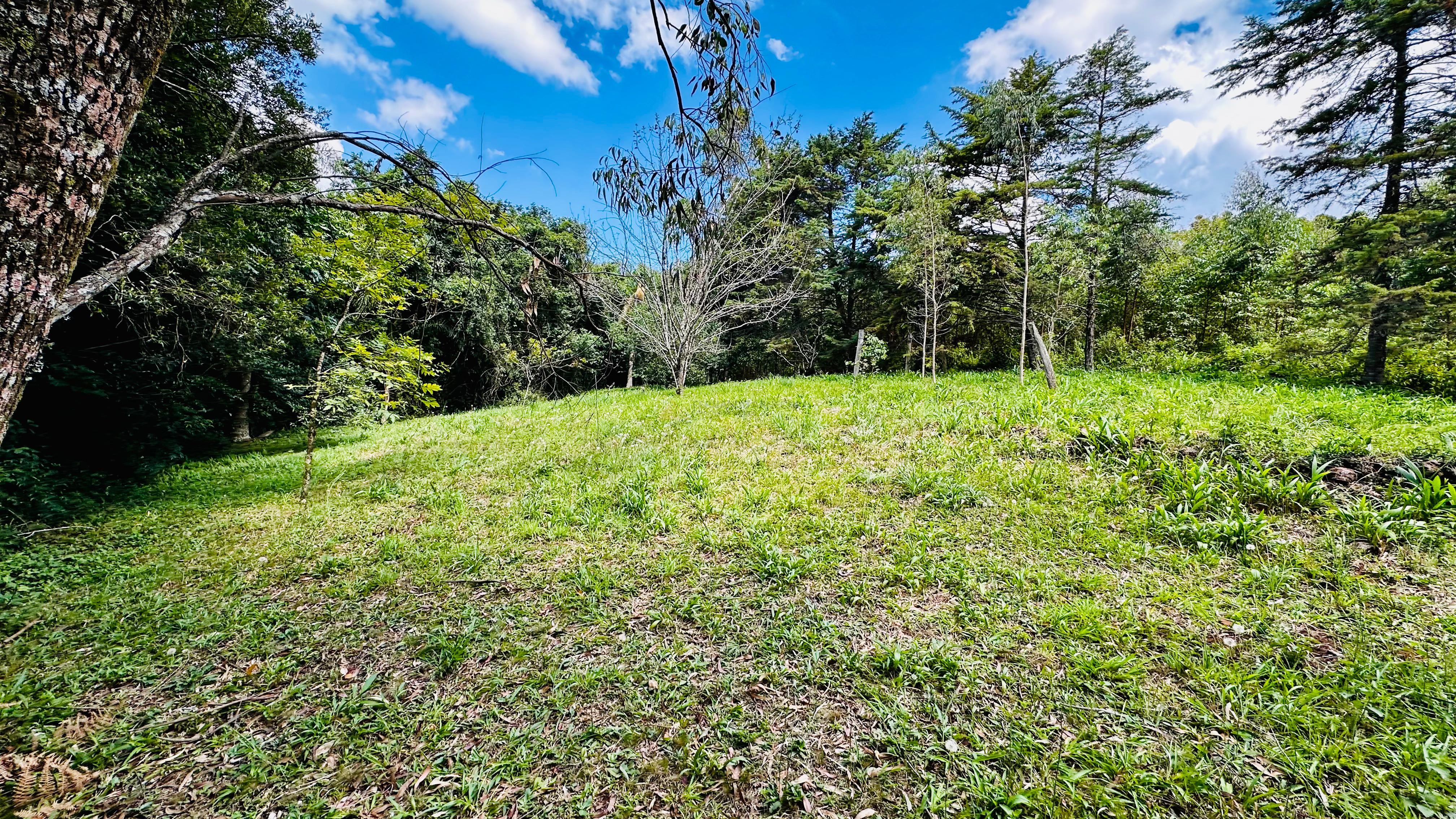 Fazenda à venda, 4337m² - Foto 11