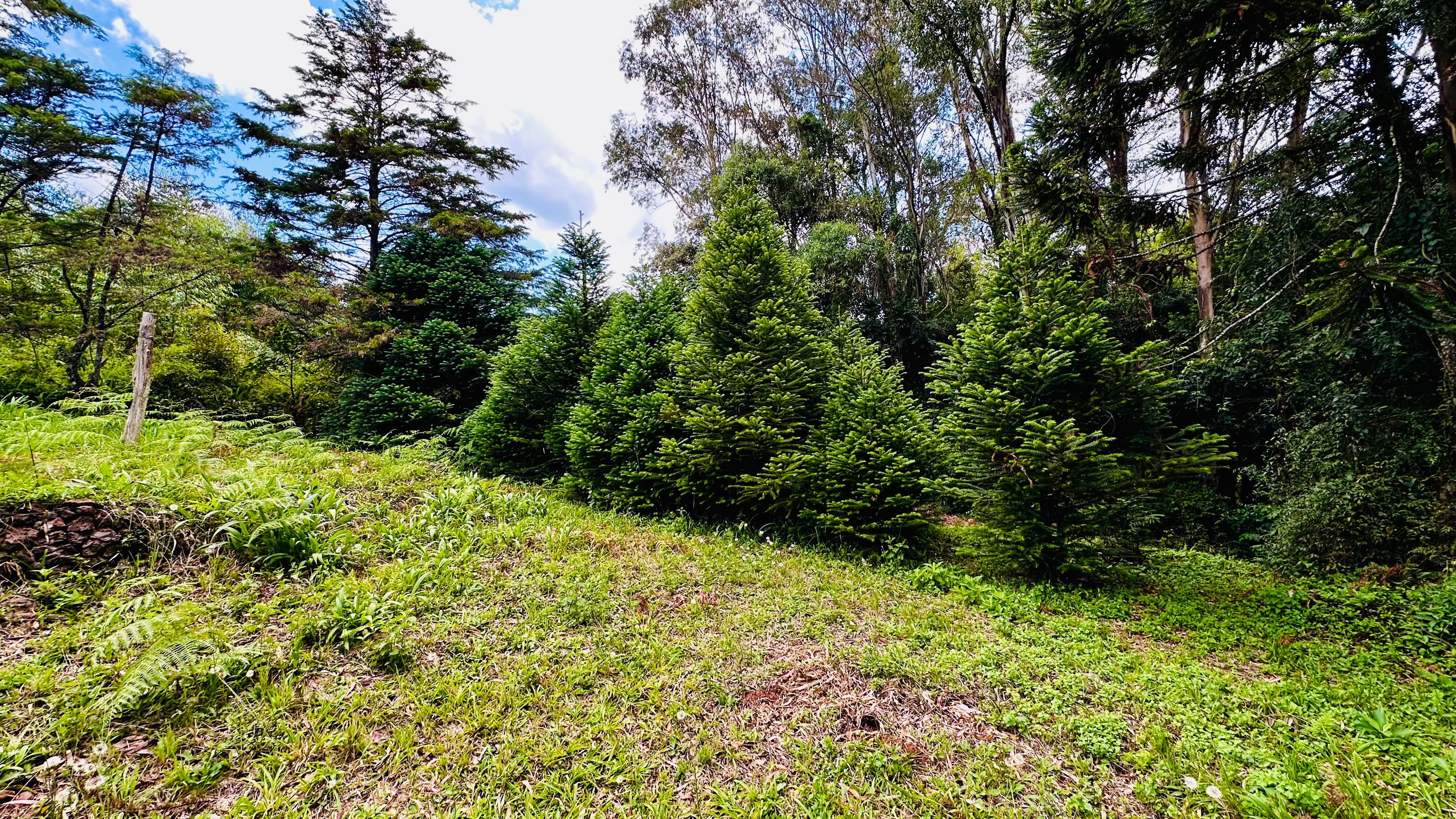 Fazenda à venda, 4337m² - Foto 2