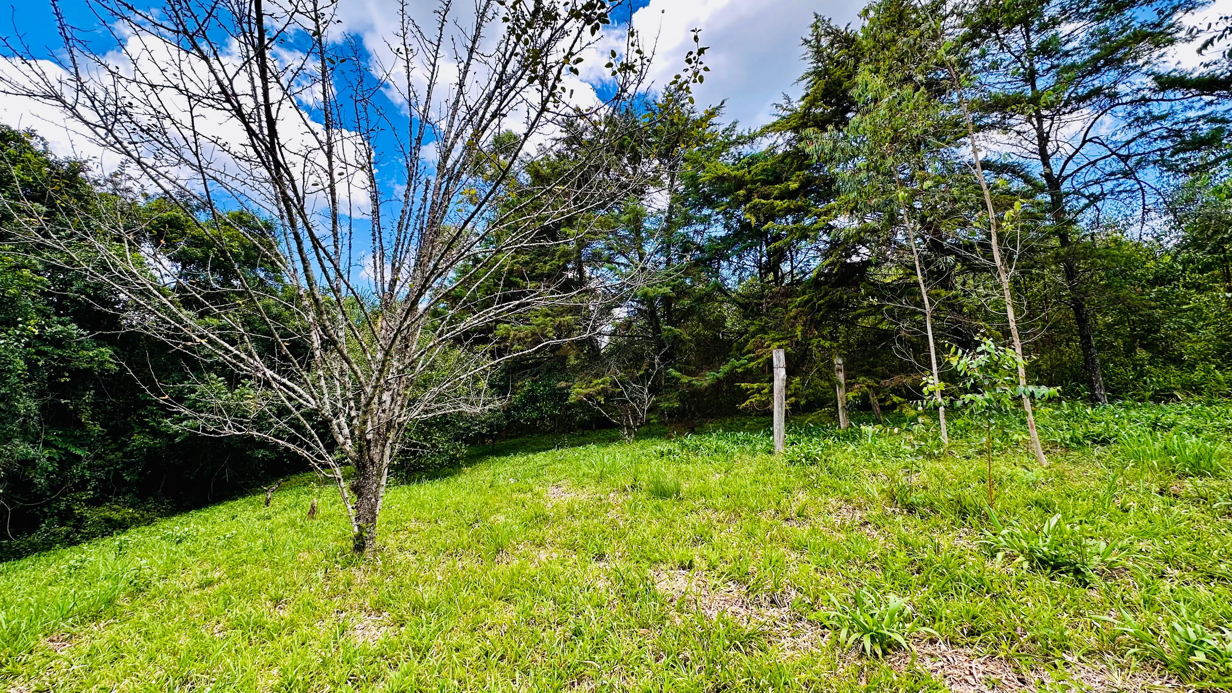 Fazenda à venda, 4337m² - Foto 3