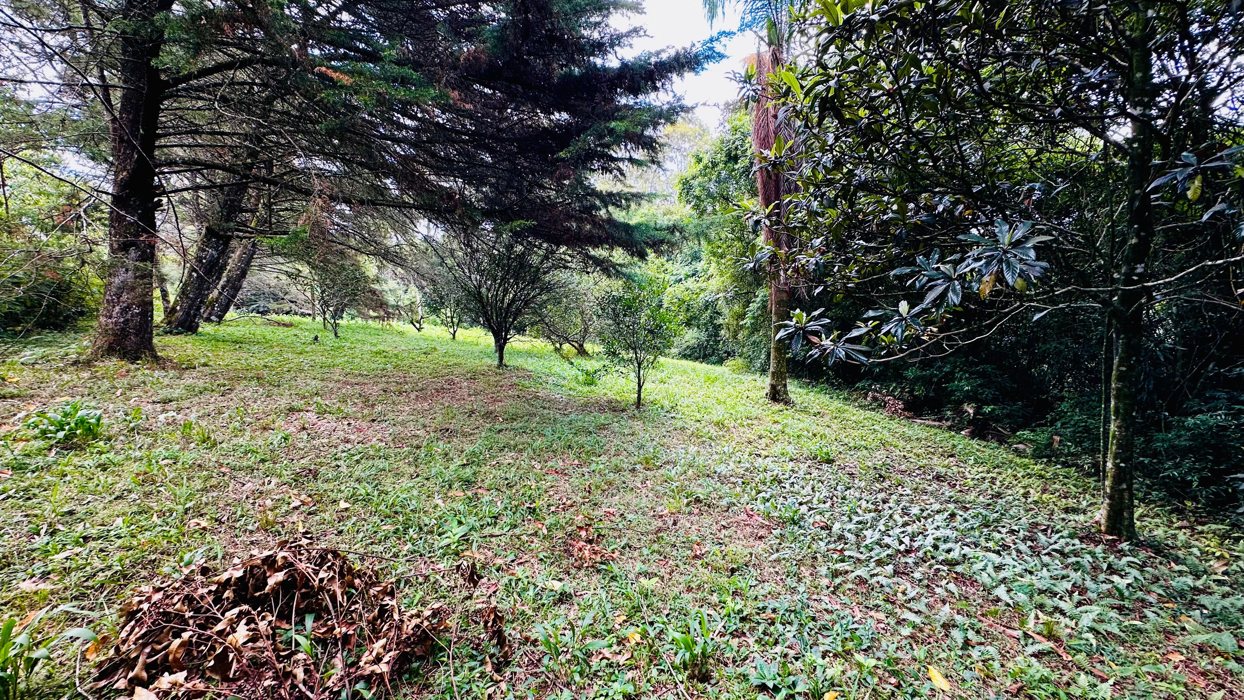 Fazenda à venda, 4337m² - Foto 5