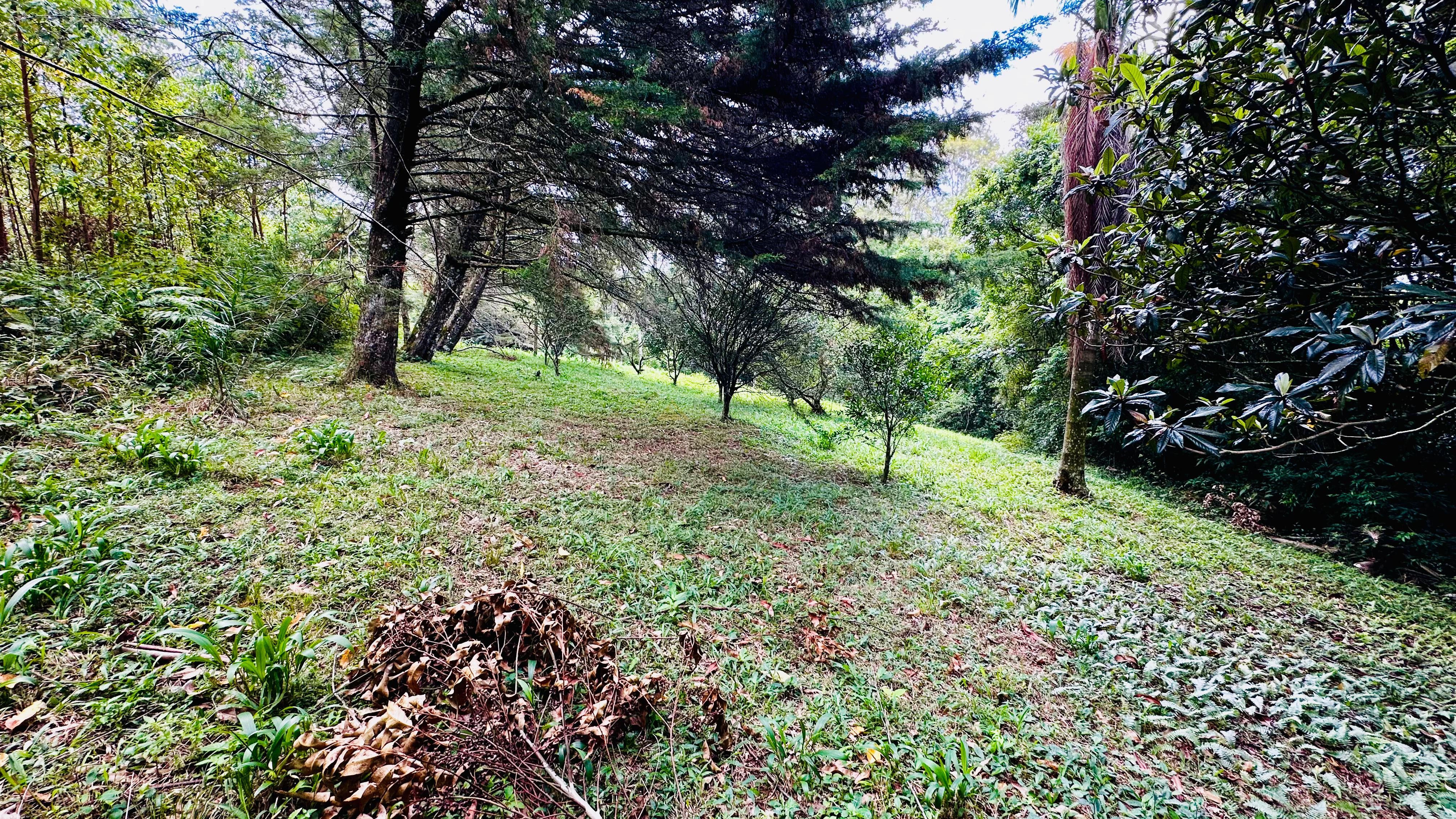 Fazenda à venda, 4337m² - Foto 7