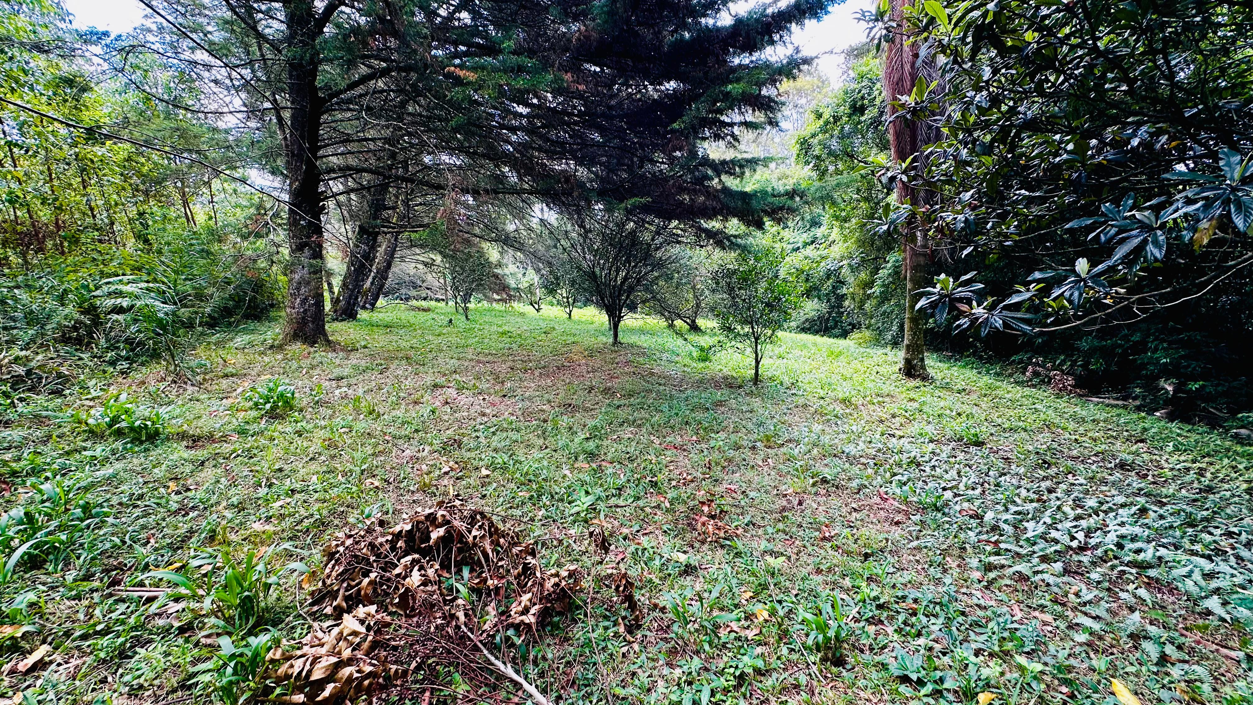 Fazenda à venda, 4337m² - Foto 8