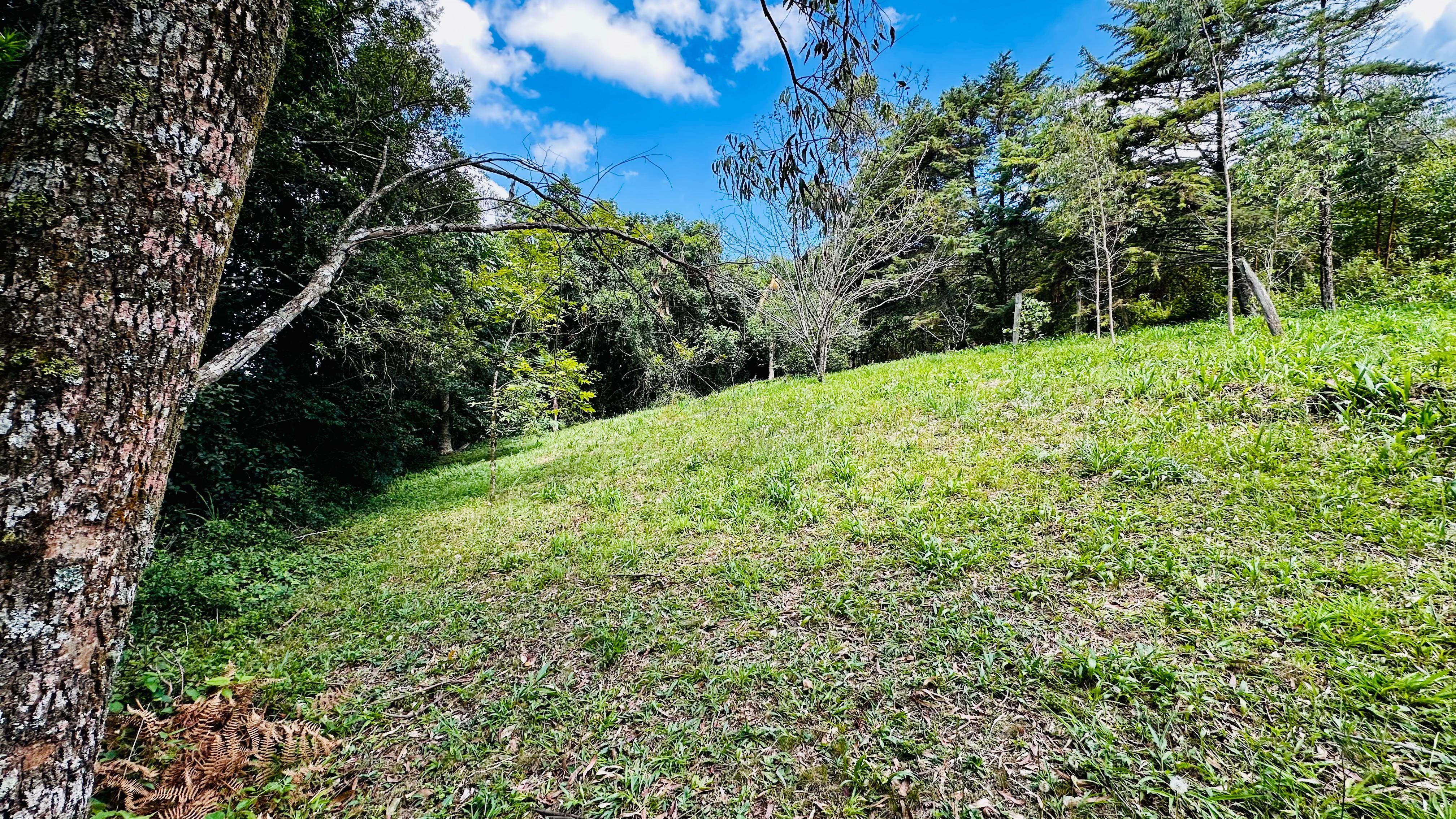 Fazenda à venda, 4337m² - Foto 9