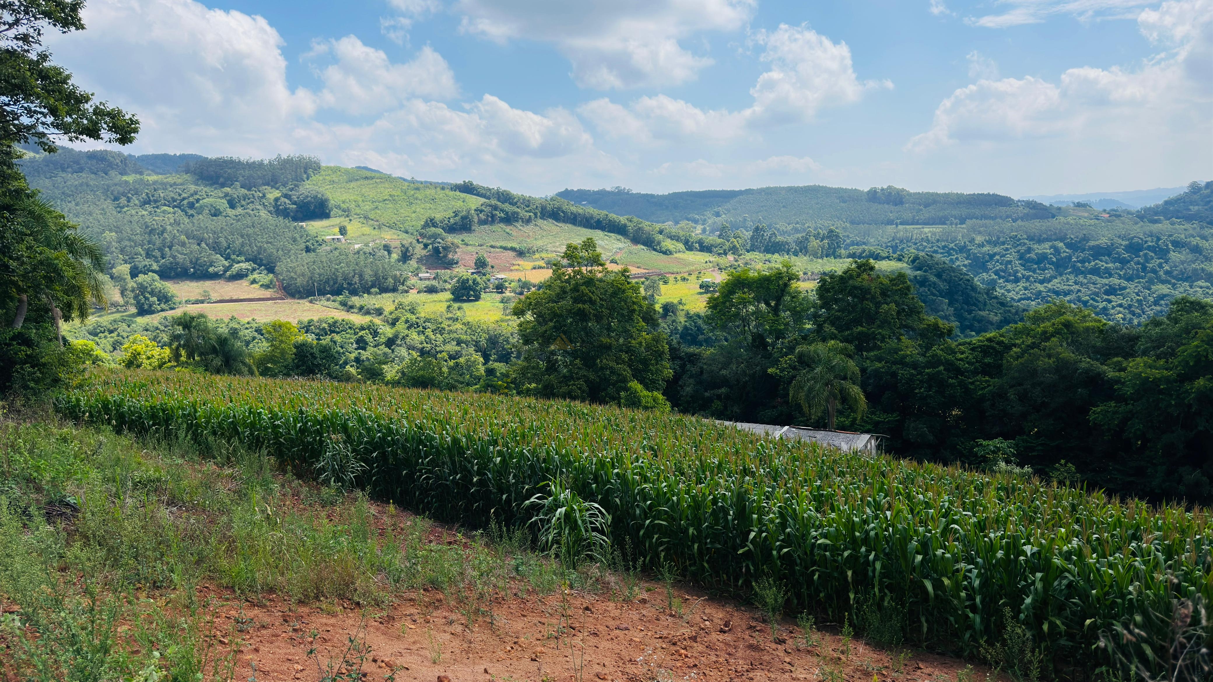 Fazenda à venda com 2 quartos, 30000m² - Foto 1