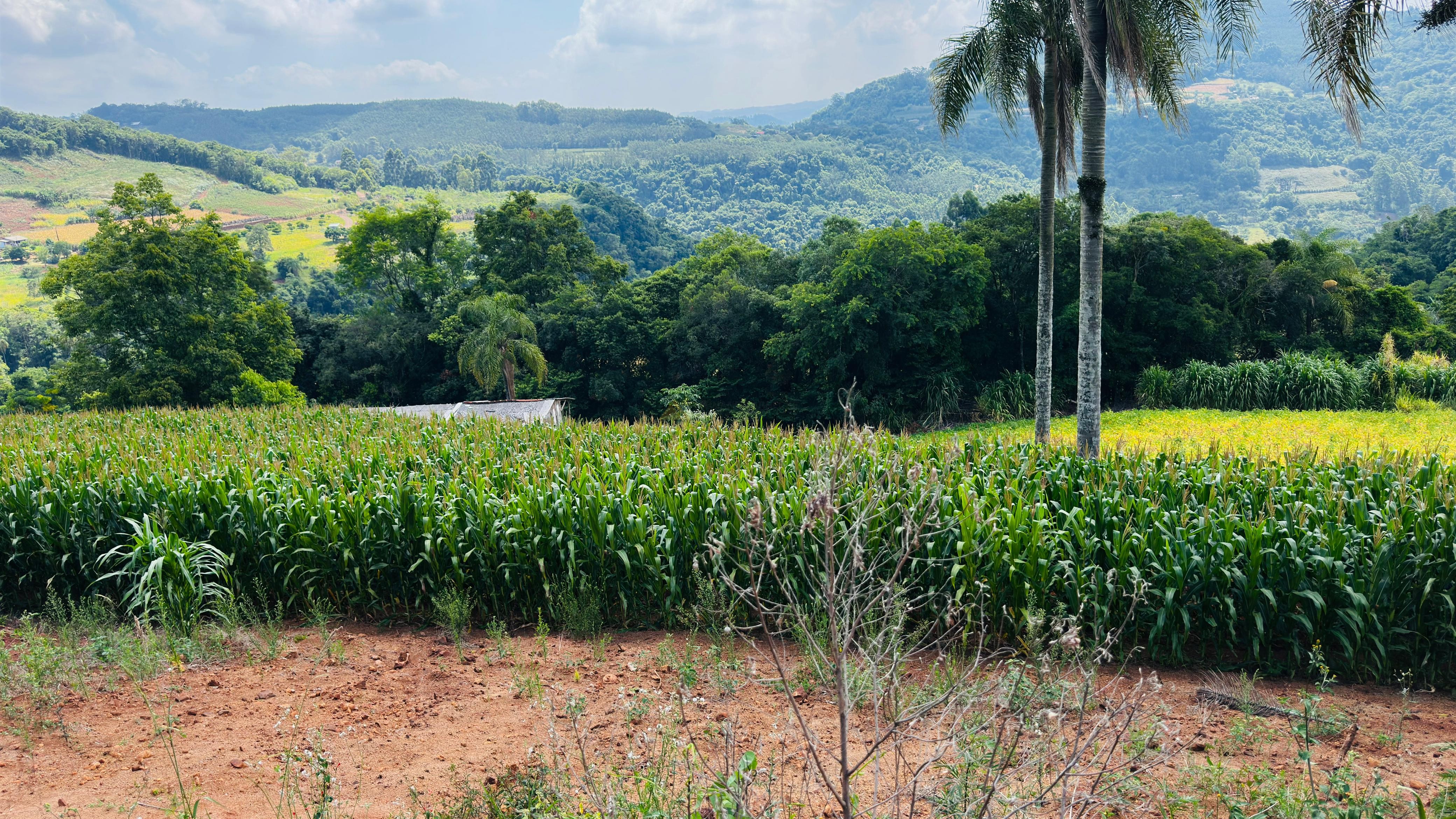 Fazenda à venda com 2 quartos, 30000m² - Foto 11