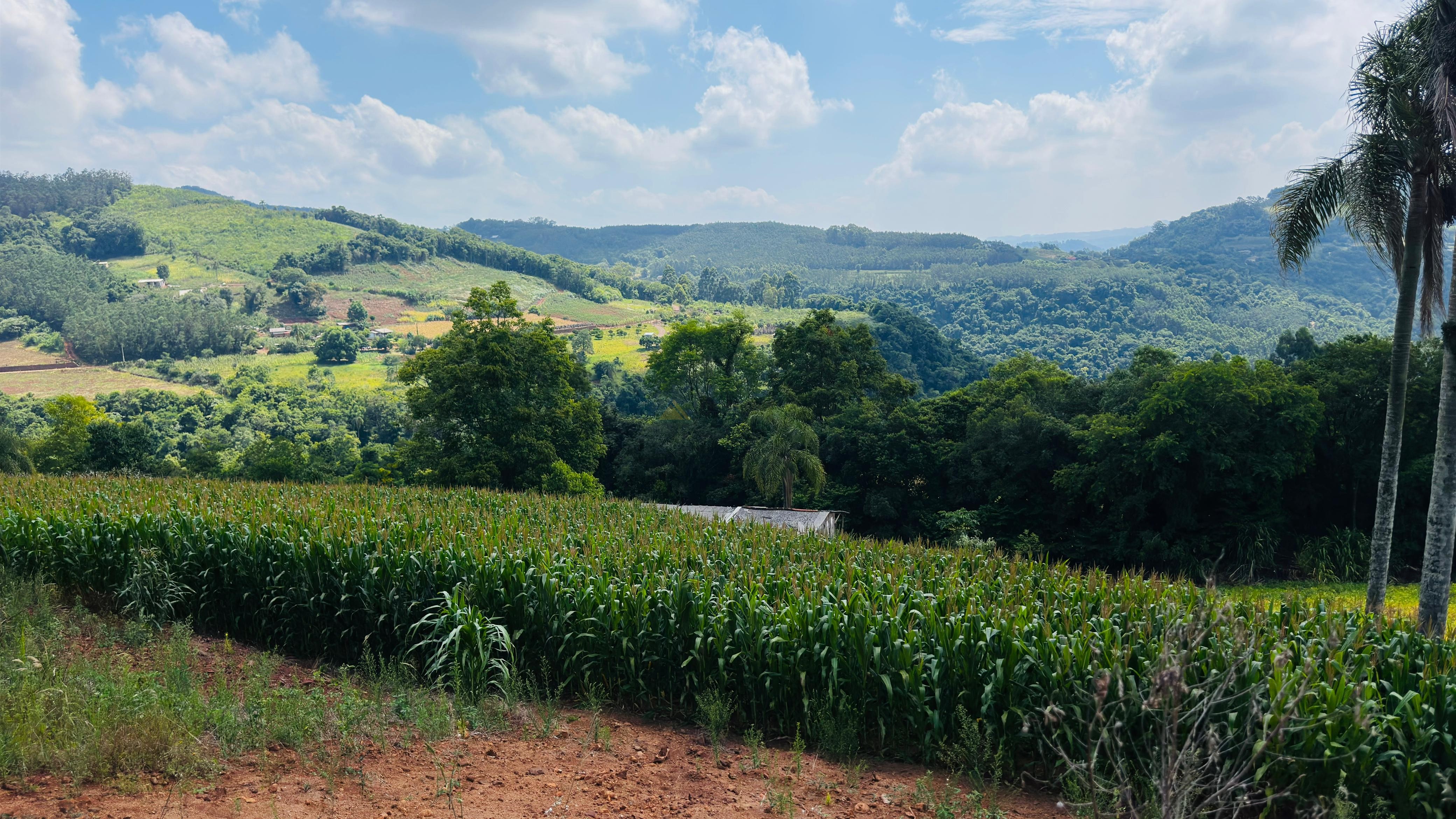 Fazenda à venda com 2 quartos, 30000m² - Foto 12