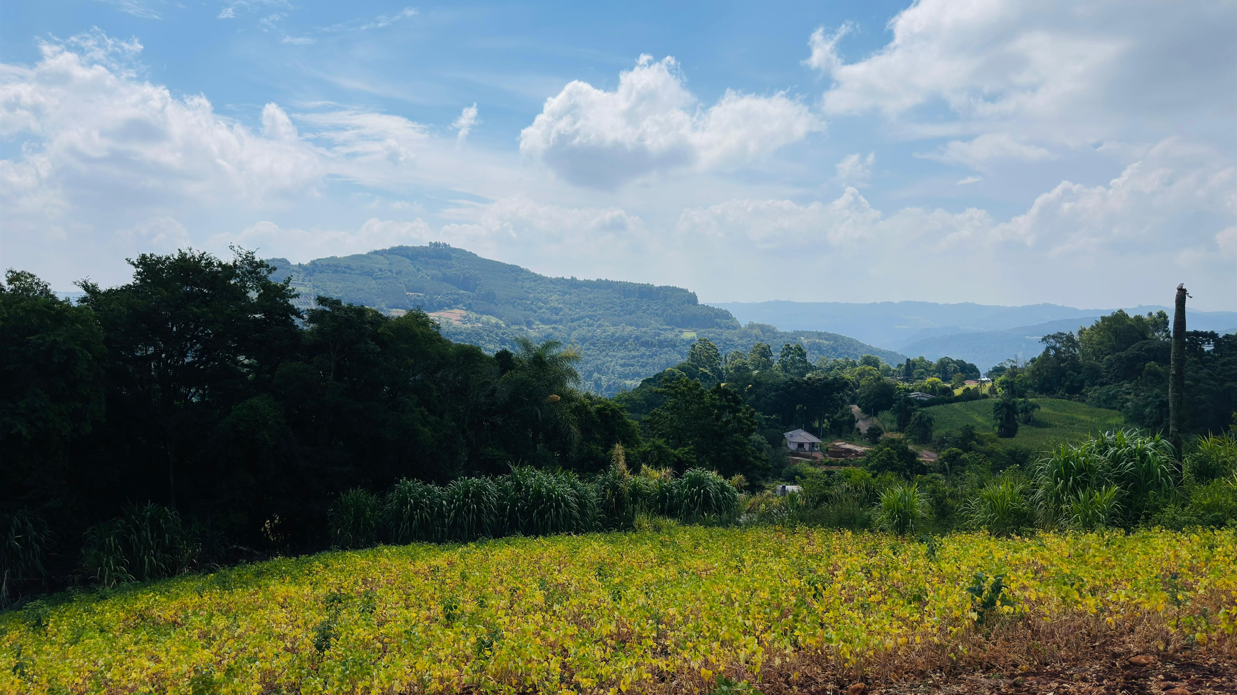 Fazenda à venda com 2 quartos, 30000m² - Foto 15