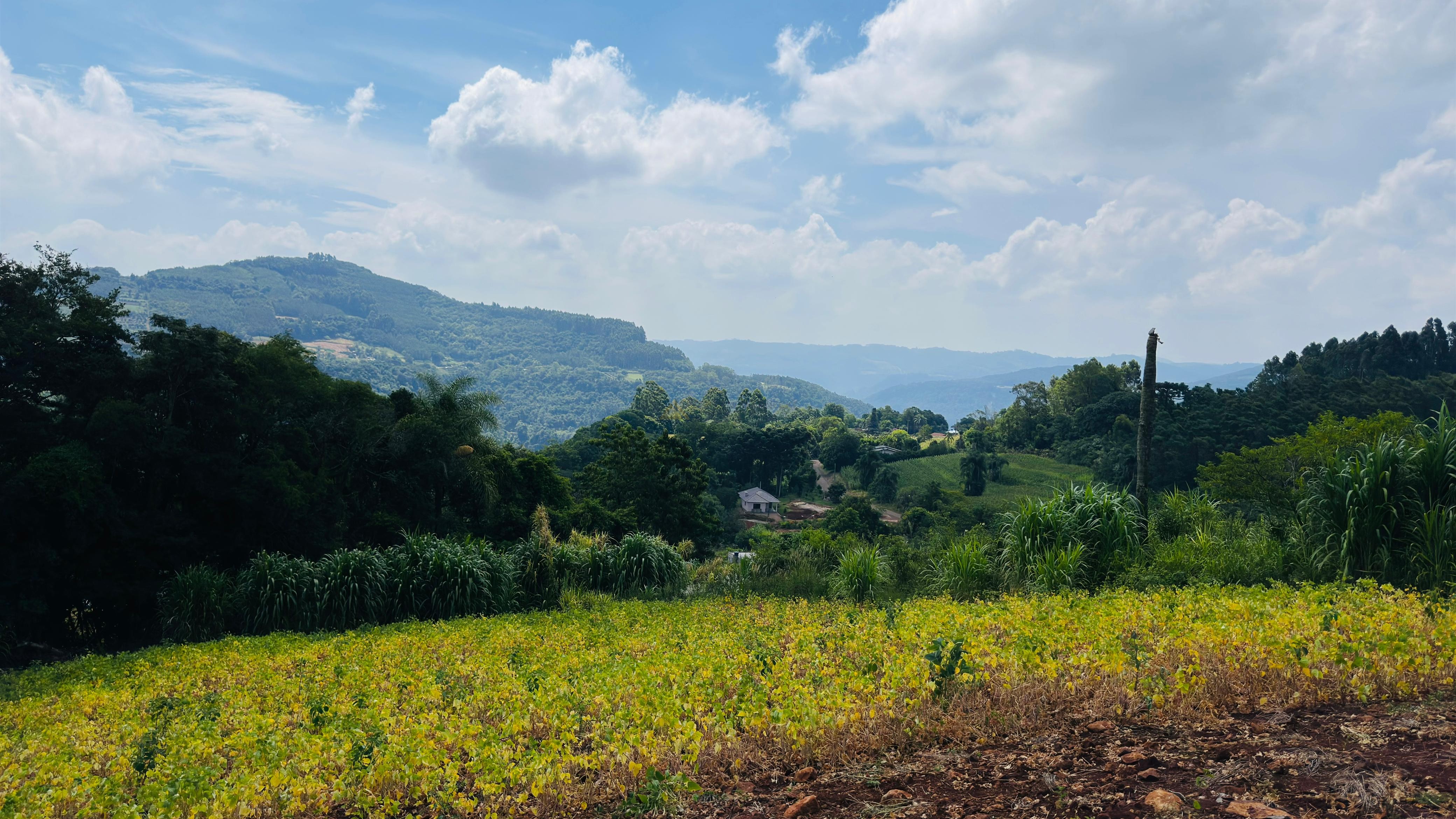 Fazenda à venda com 2 quartos, 30000m² - Foto 16