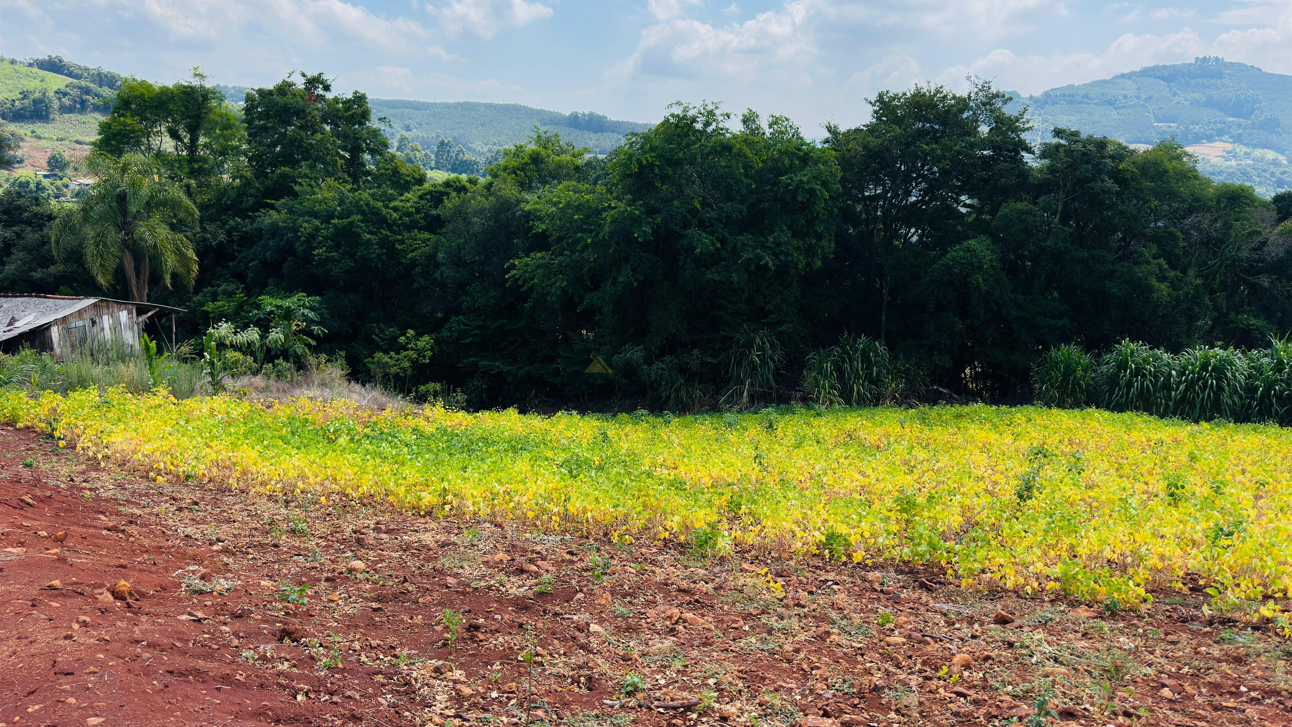 Fazenda à venda com 2 quartos, 30000m² - Foto 17