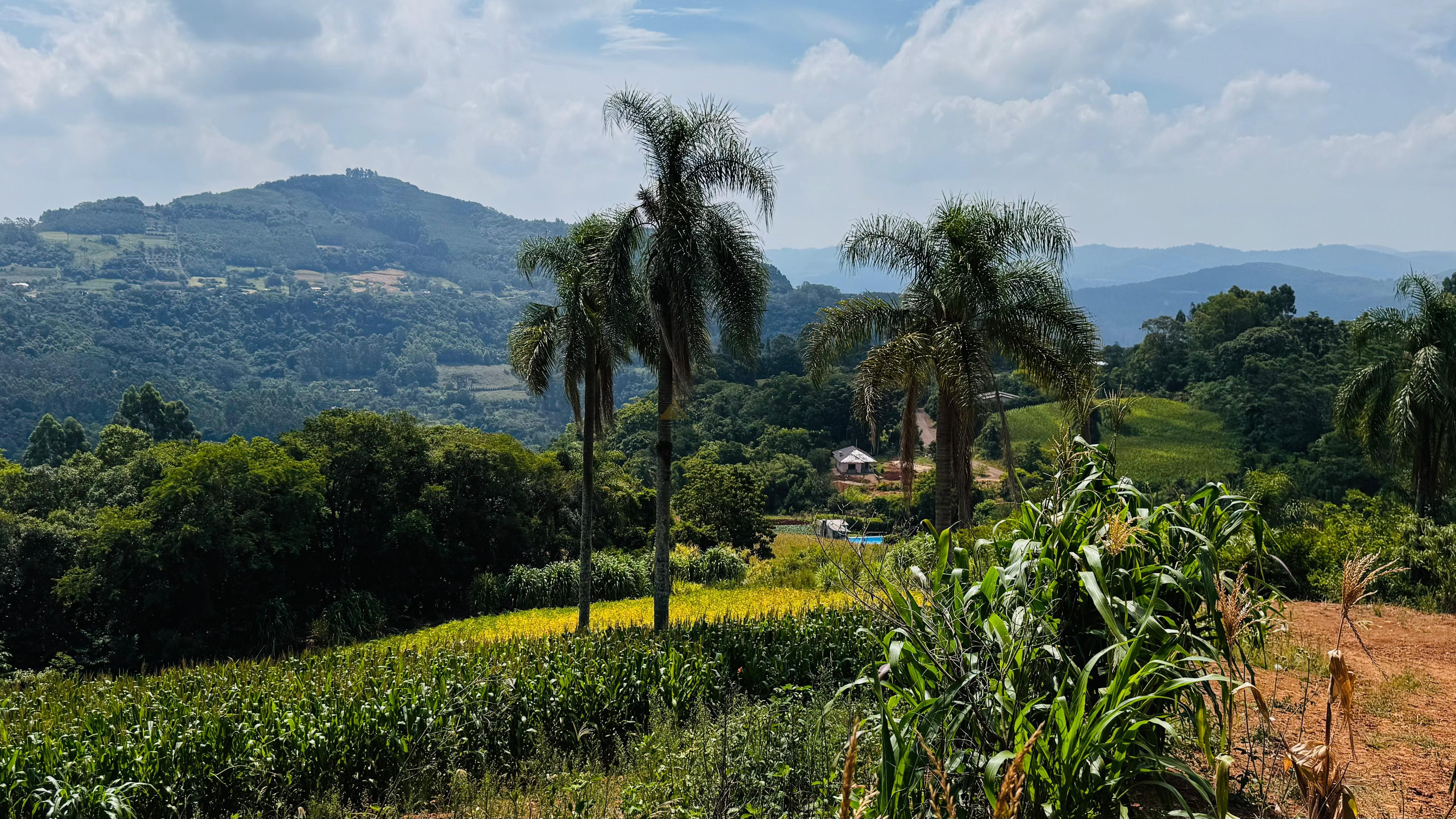 Fazenda à venda com 2 quartos, 30000m² - Foto 18