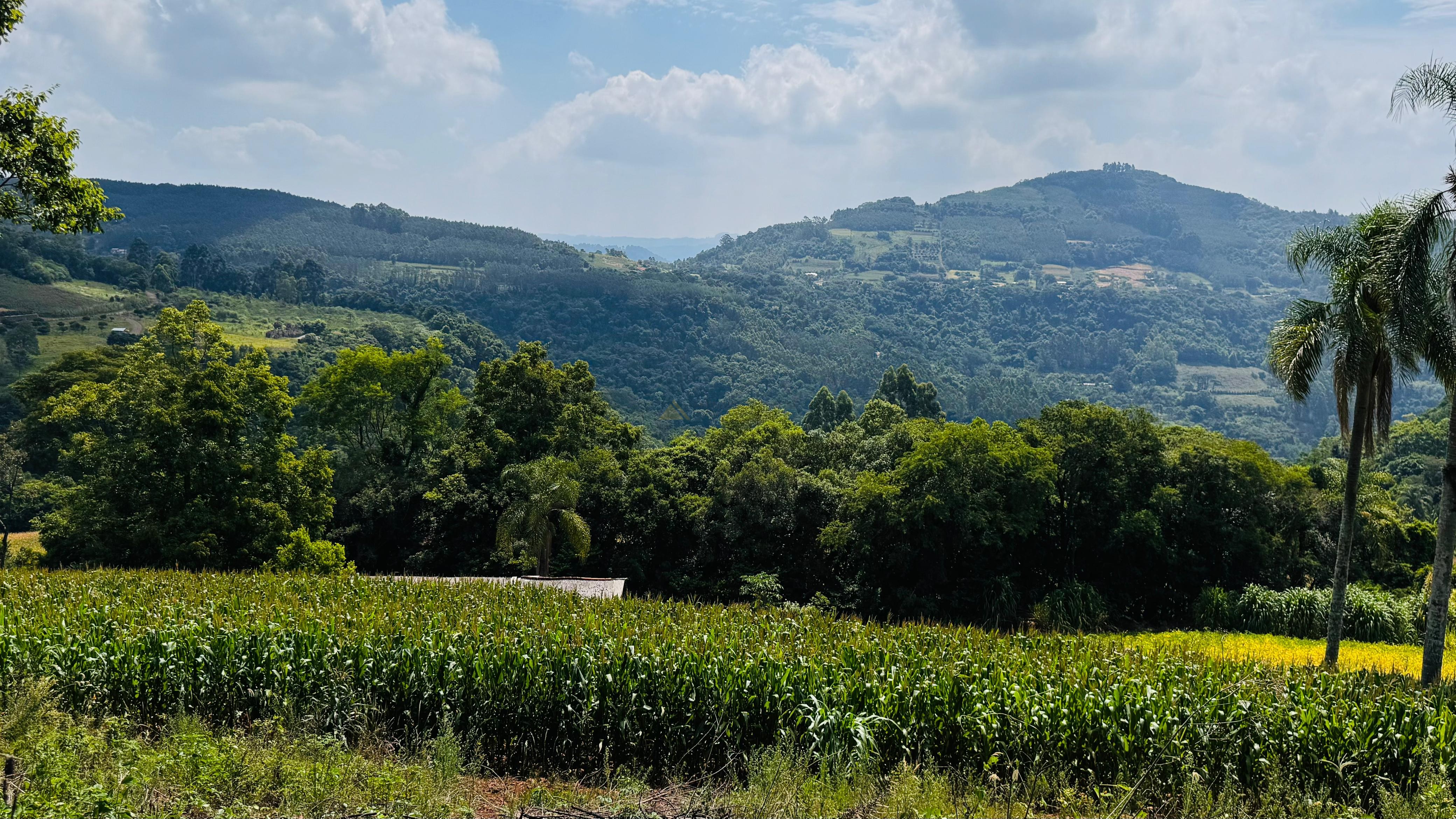 Fazenda à venda com 2 quartos, 30000m² - Foto 19