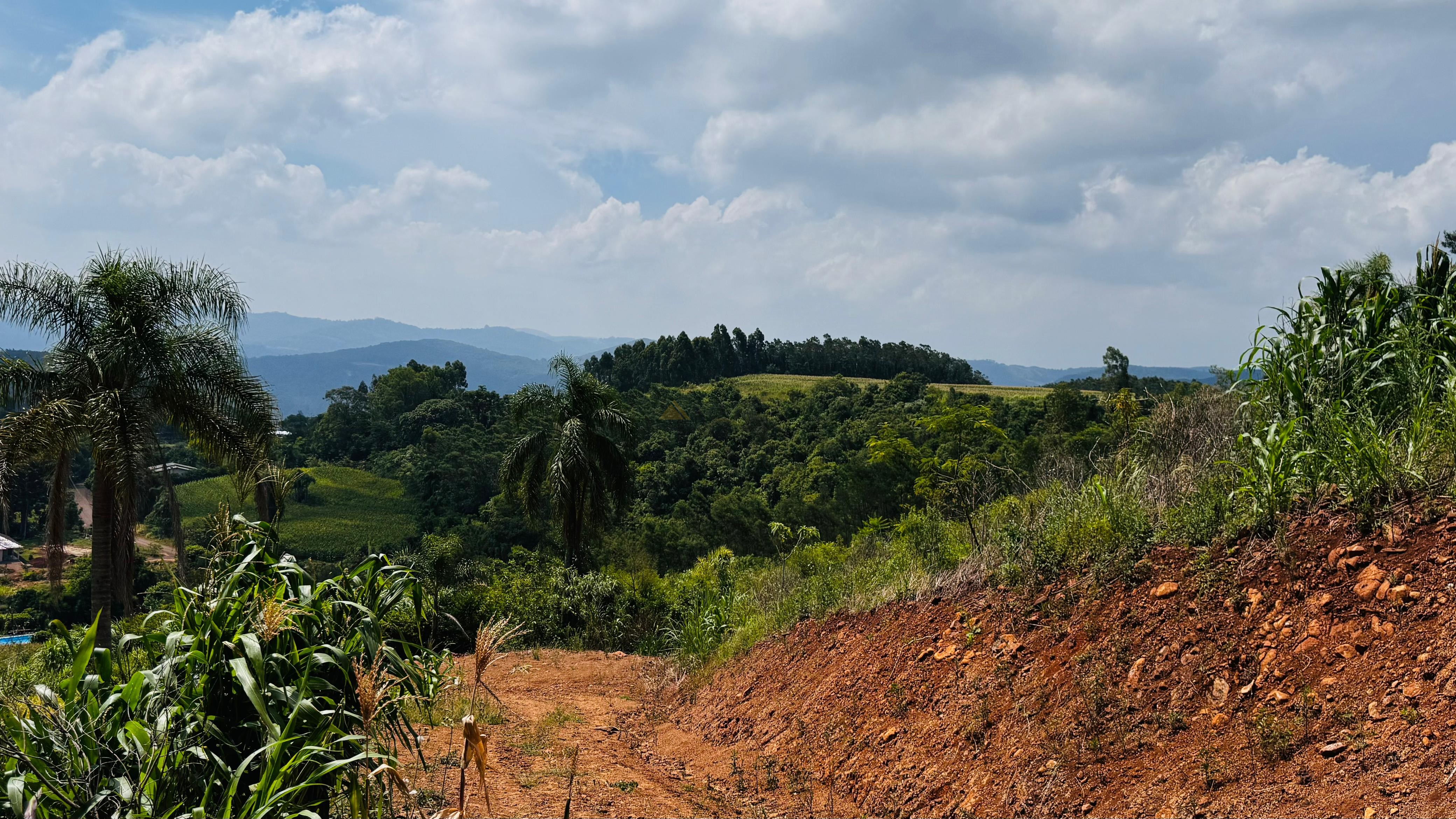 Fazenda à venda com 2 quartos, 30000m² - Foto 20