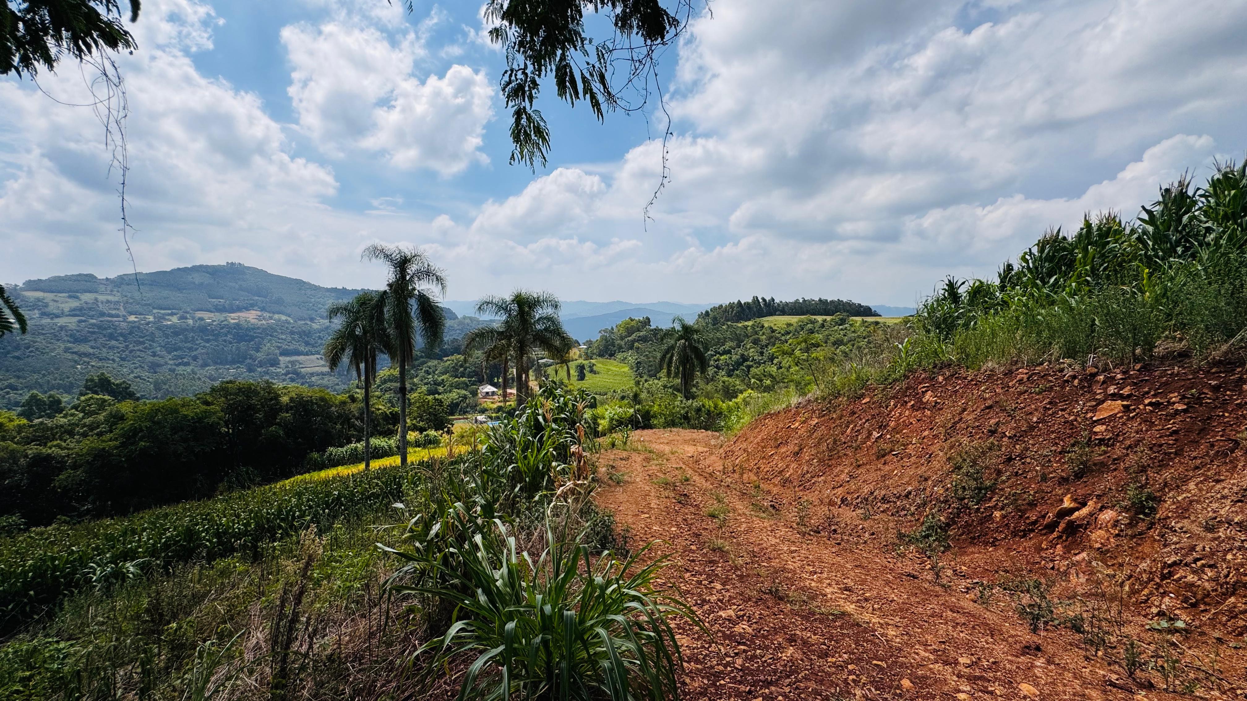 Fazenda à venda com 2 quartos, 30000m² - Foto 21