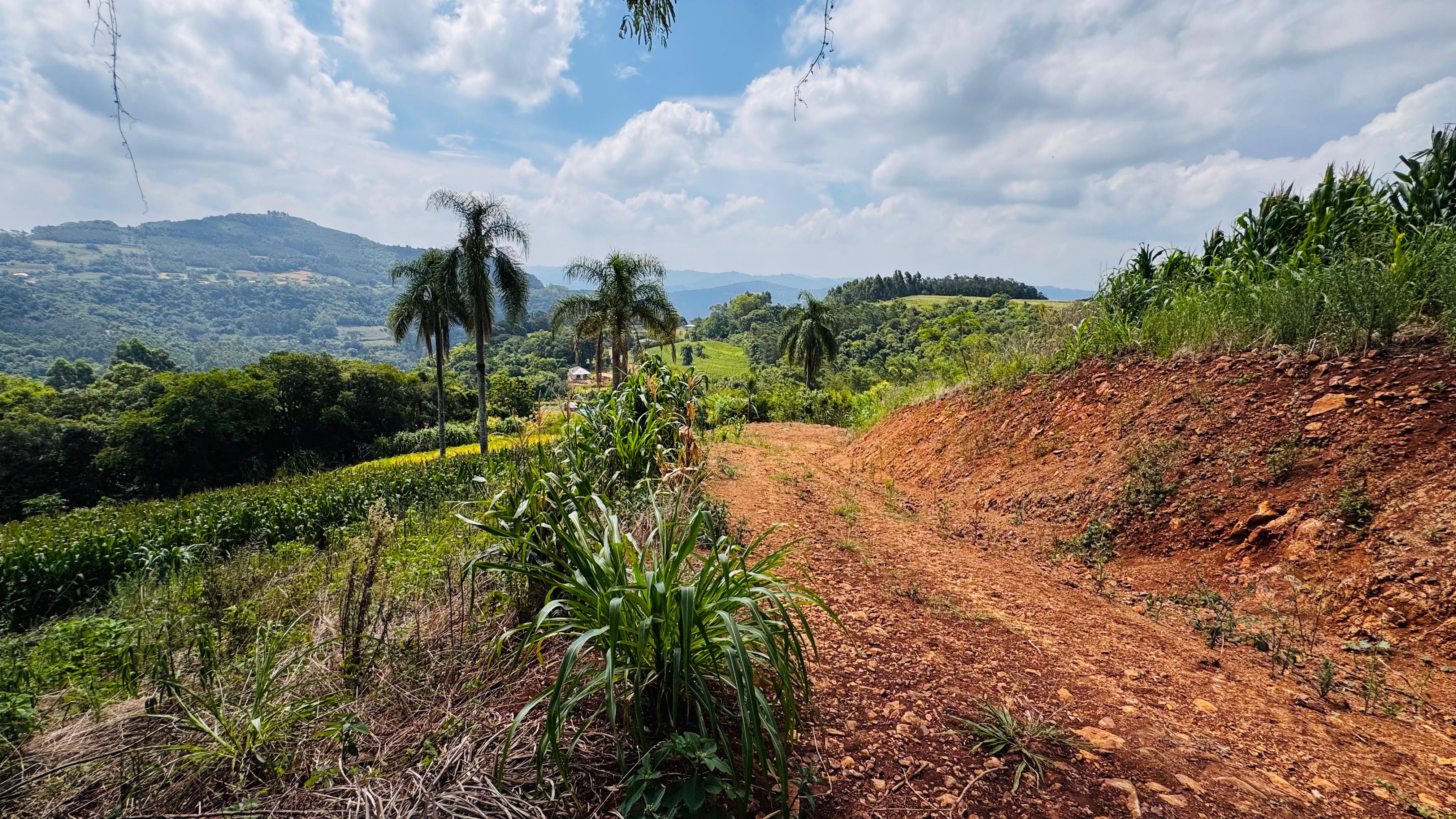 Fazenda à venda com 2 quartos, 30000m² - Foto 22