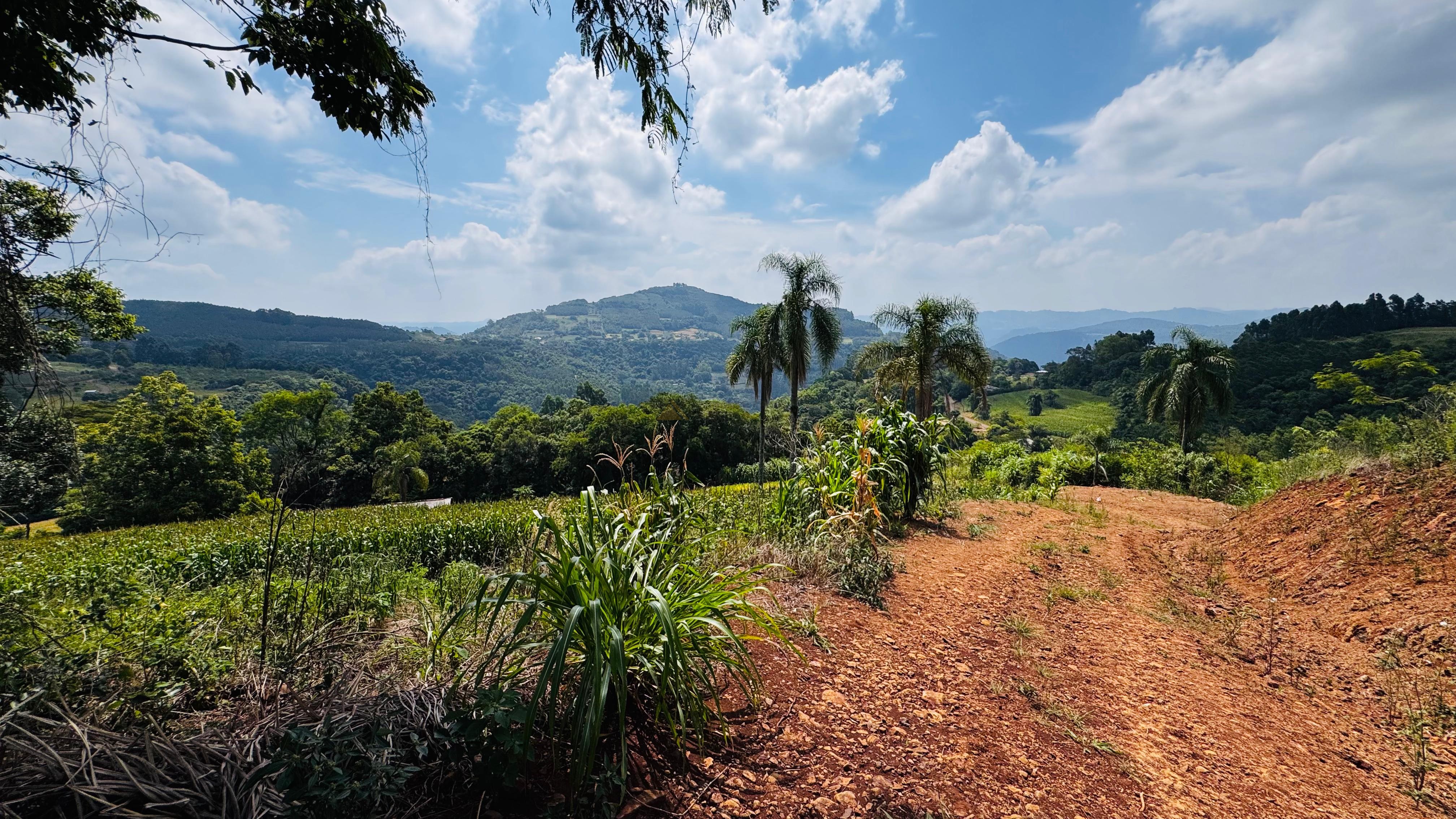 Fazenda à venda com 2 quartos, 30000m² - Foto 23