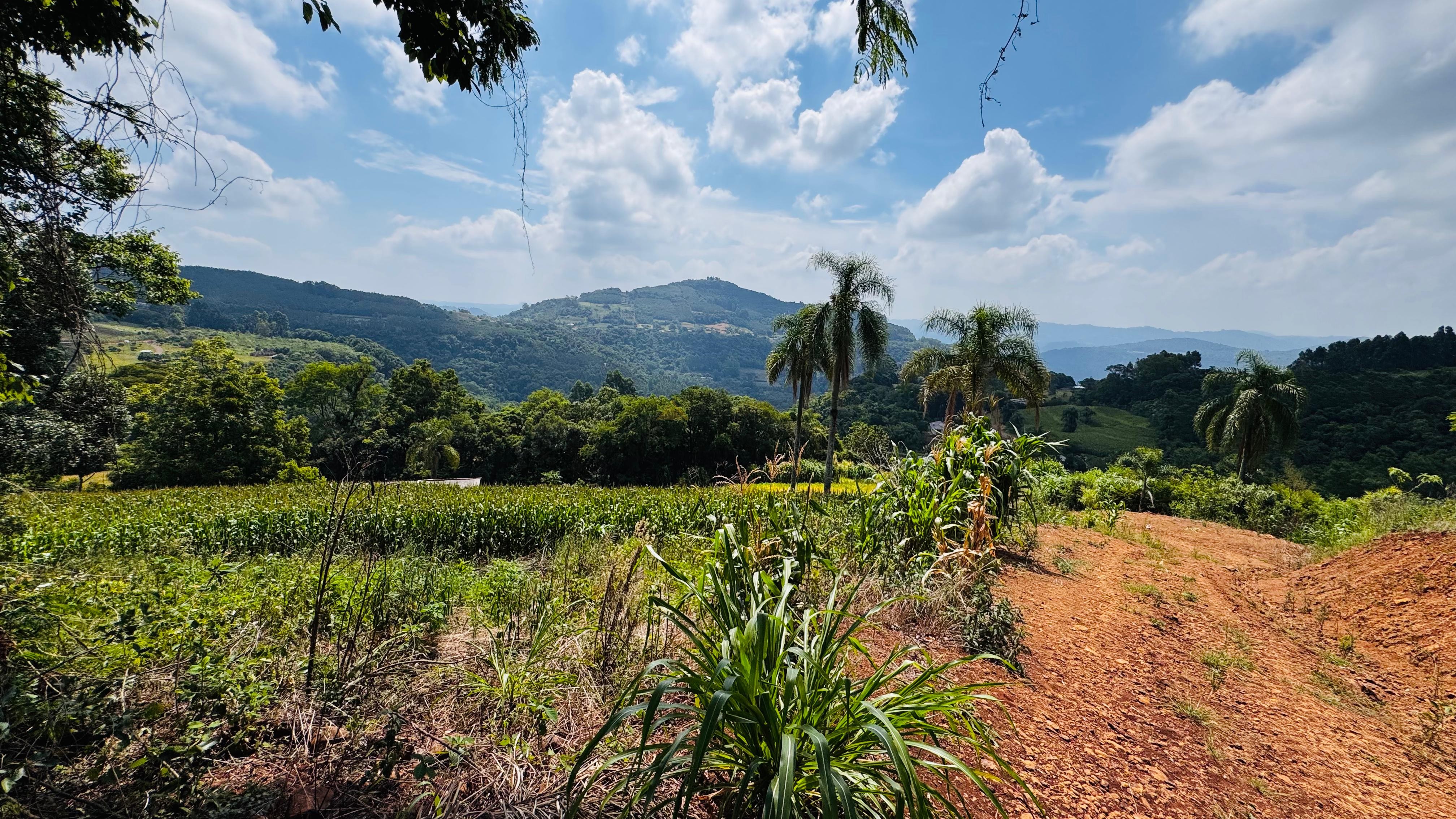 Fazenda à venda com 2 quartos, 30000m² - Foto 24