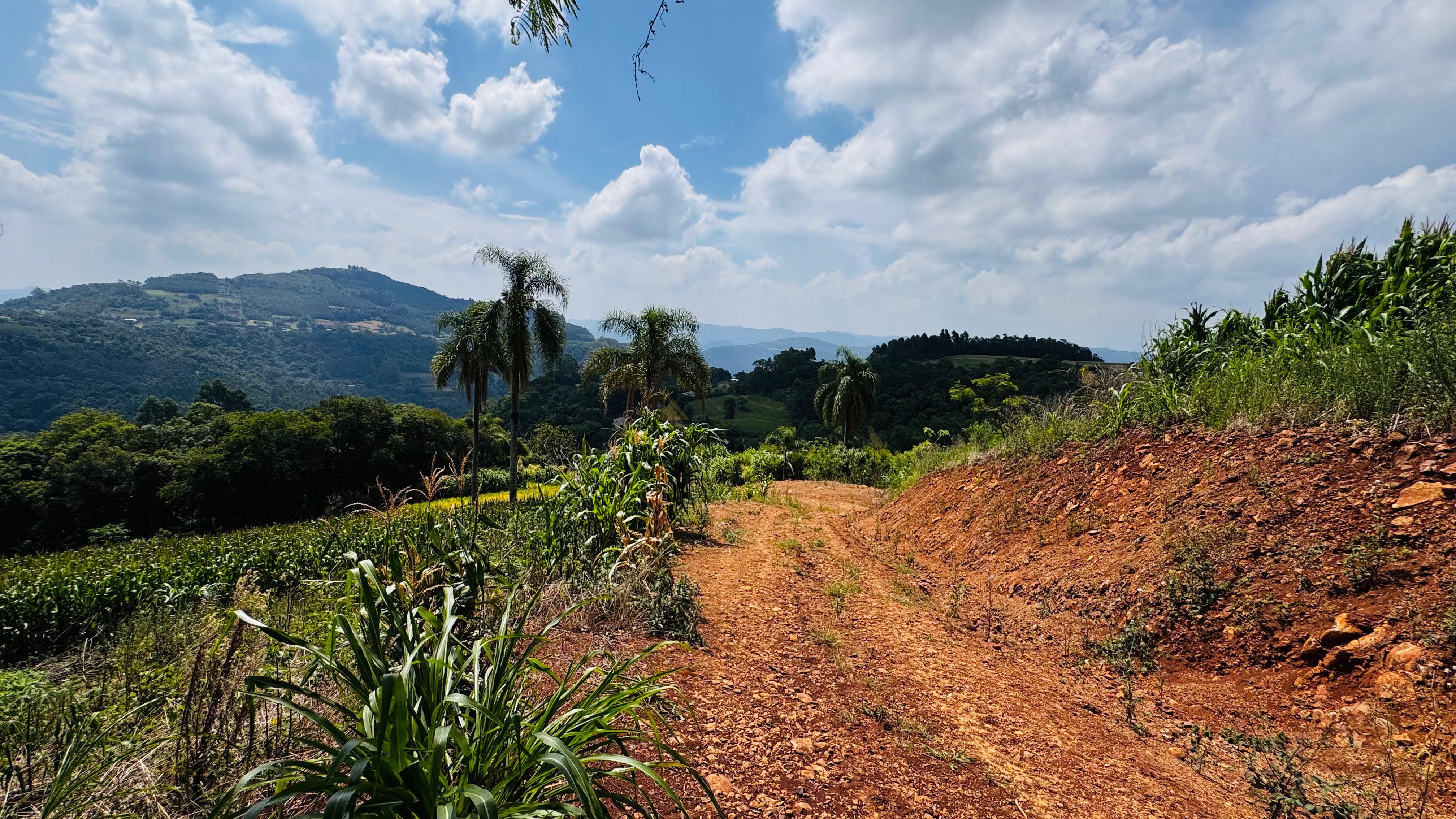 Fazenda à venda com 2 quartos, 30000m² - Foto 26