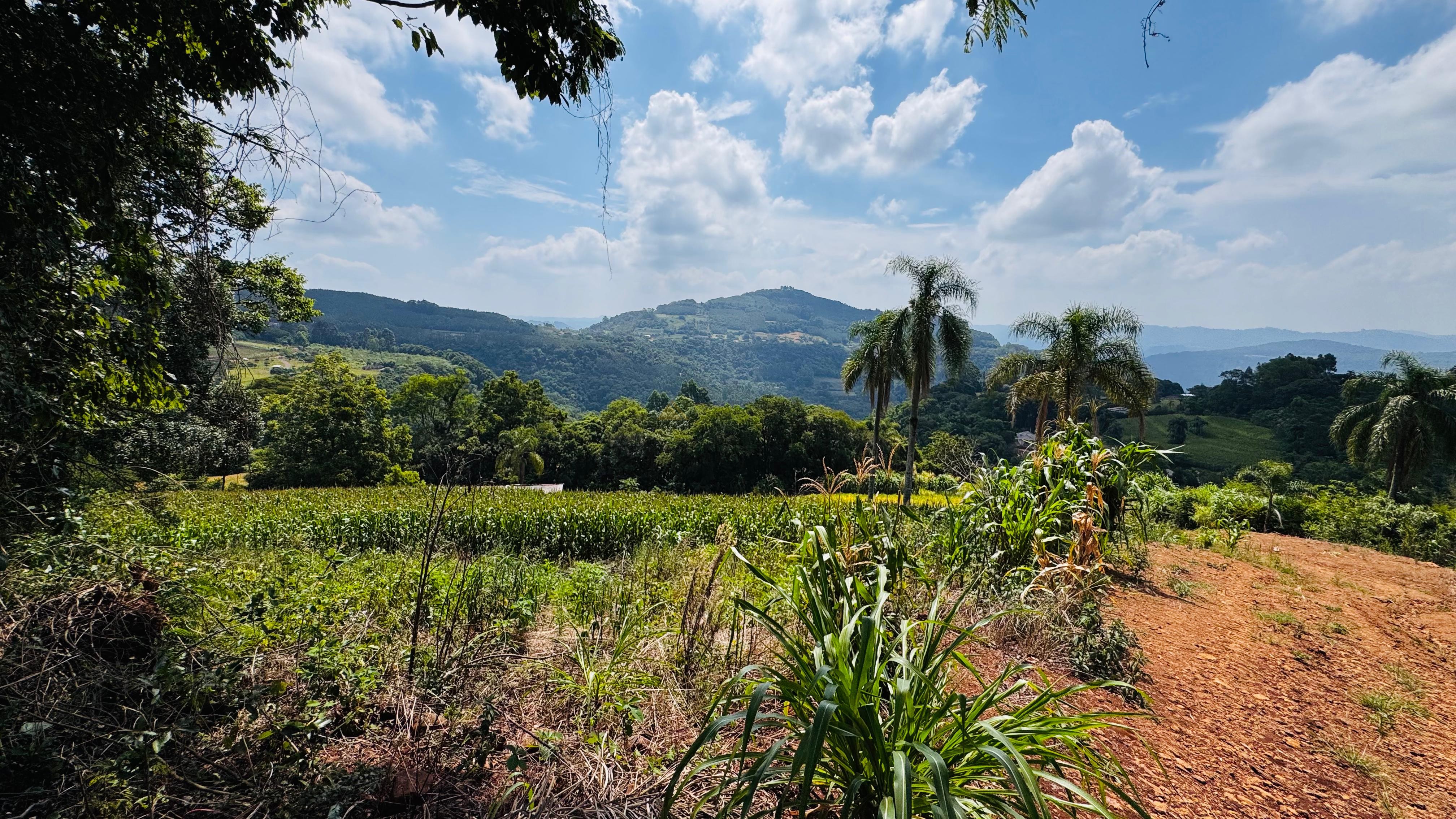 Fazenda à venda com 2 quartos, 30000m² - Foto 27