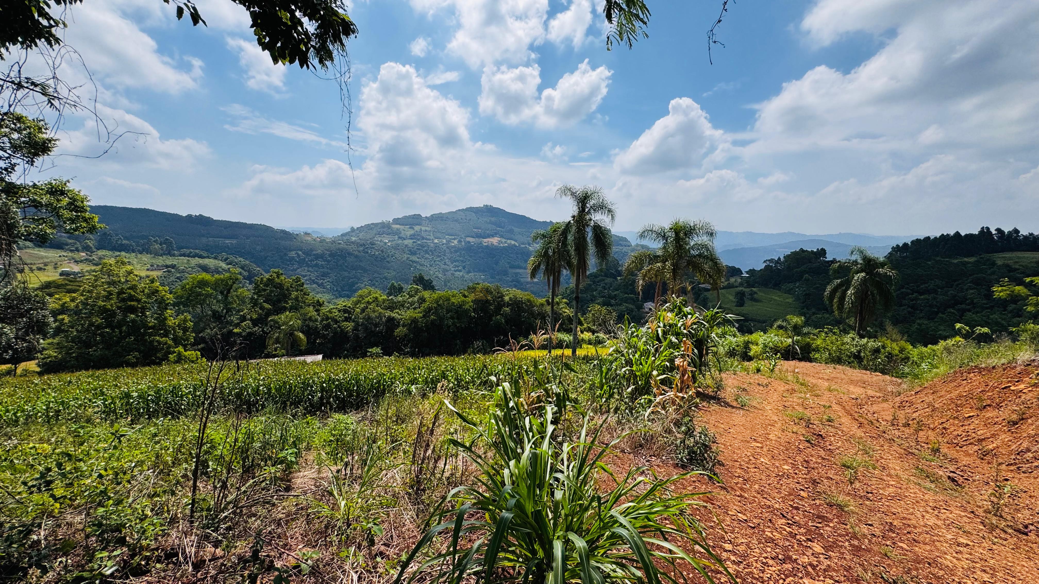 Fazenda à venda com 2 quartos, 30000m² - Foto 28