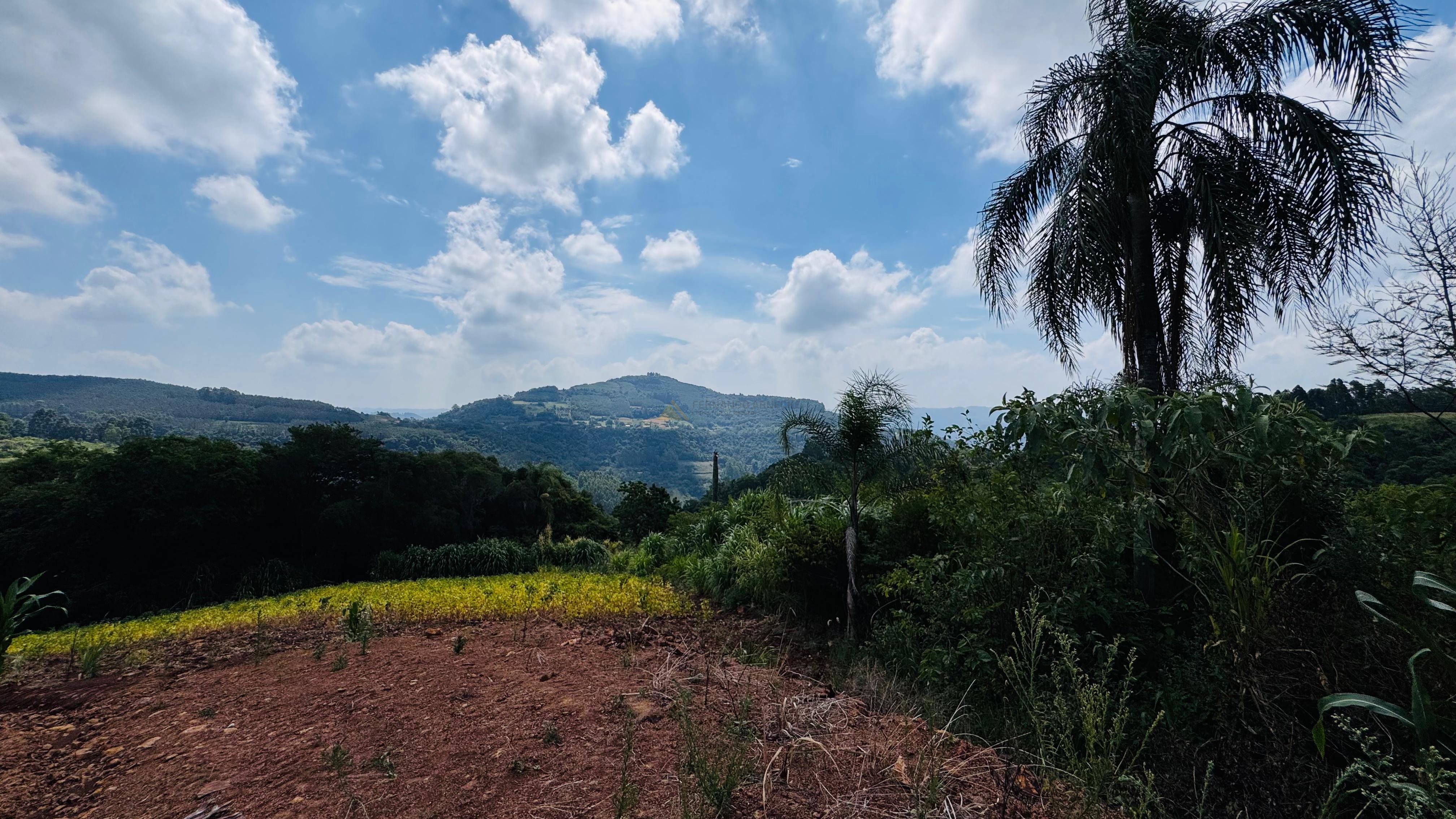 Fazenda à venda com 2 quartos, 30000m² - Foto 29