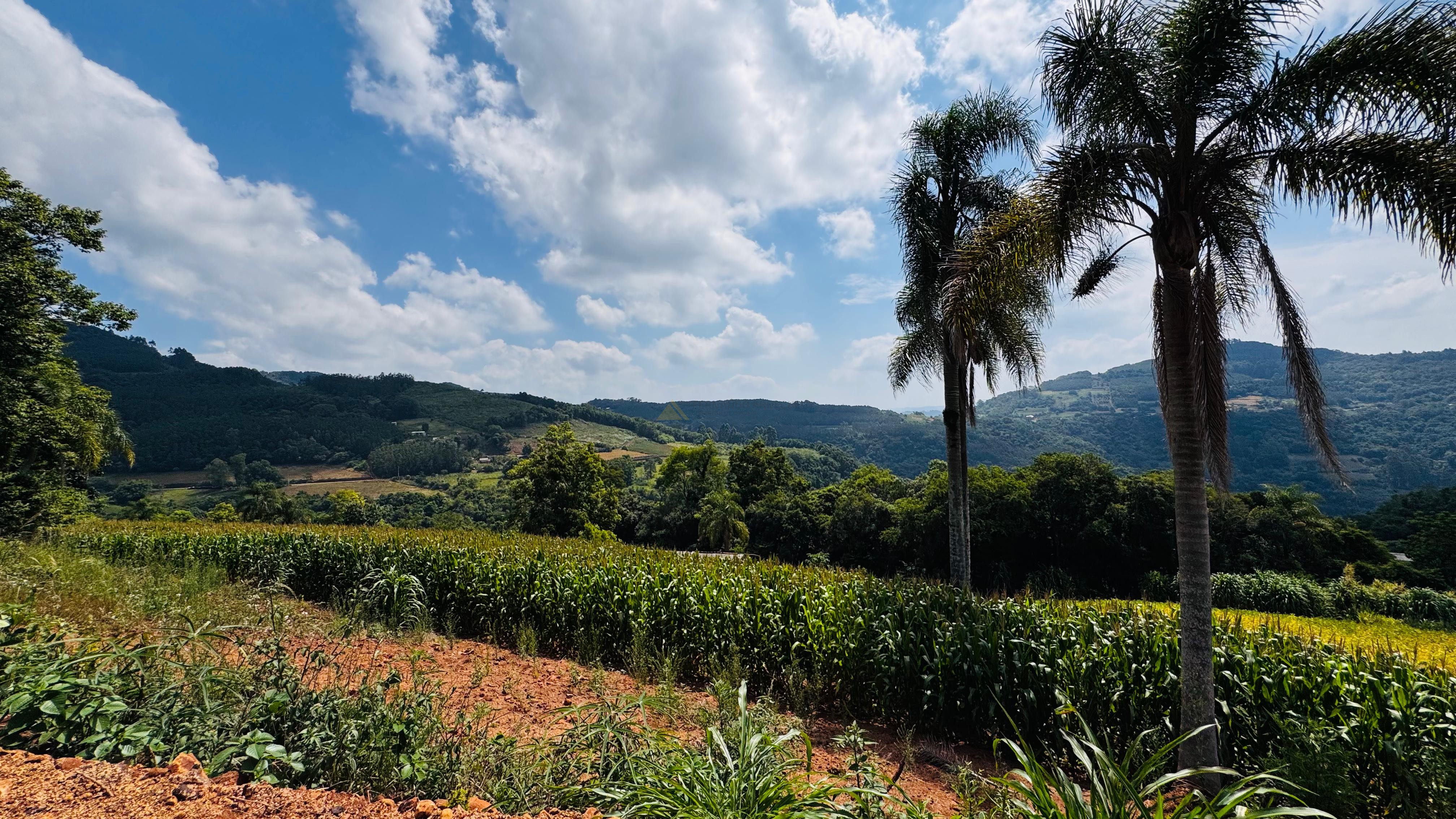 Fazenda à venda com 2 quartos, 30000m² - Foto 30