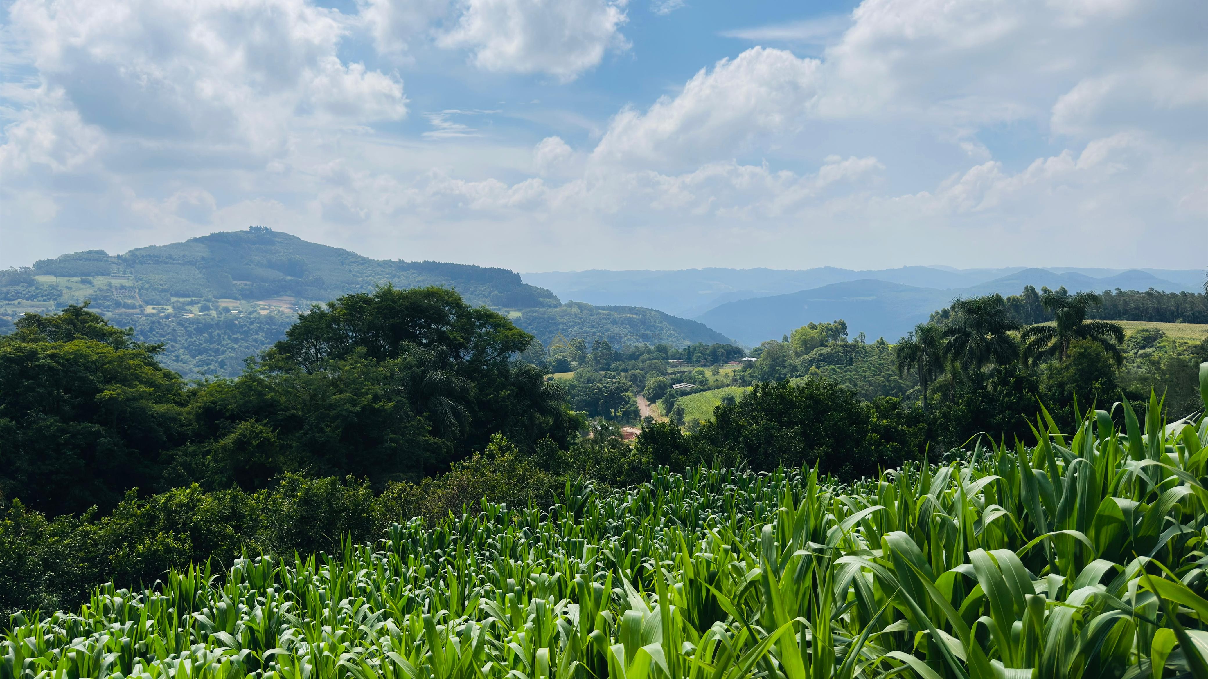 Fazenda à venda com 2 quartos, 30000m² - Foto 7