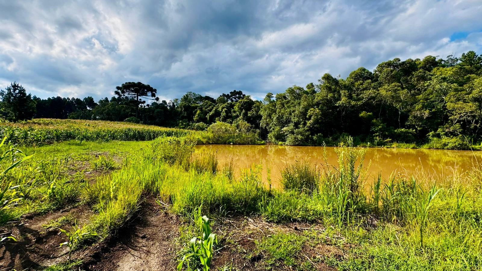 Fazenda à venda, 60000m² - Foto 1