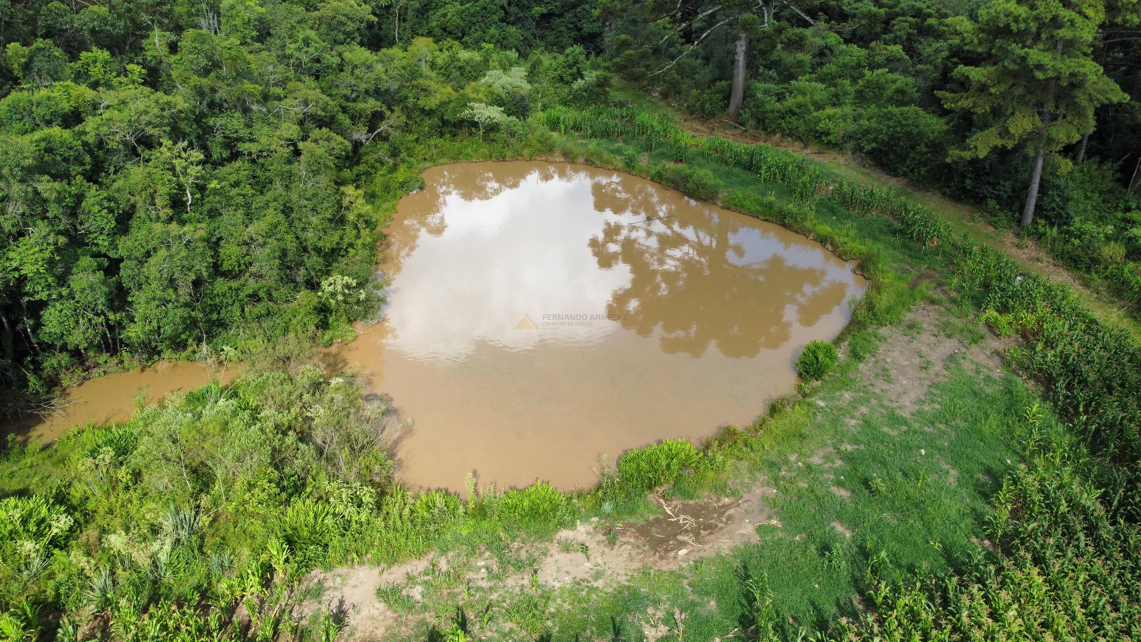 Fazenda à venda, 60000m² - Foto 11