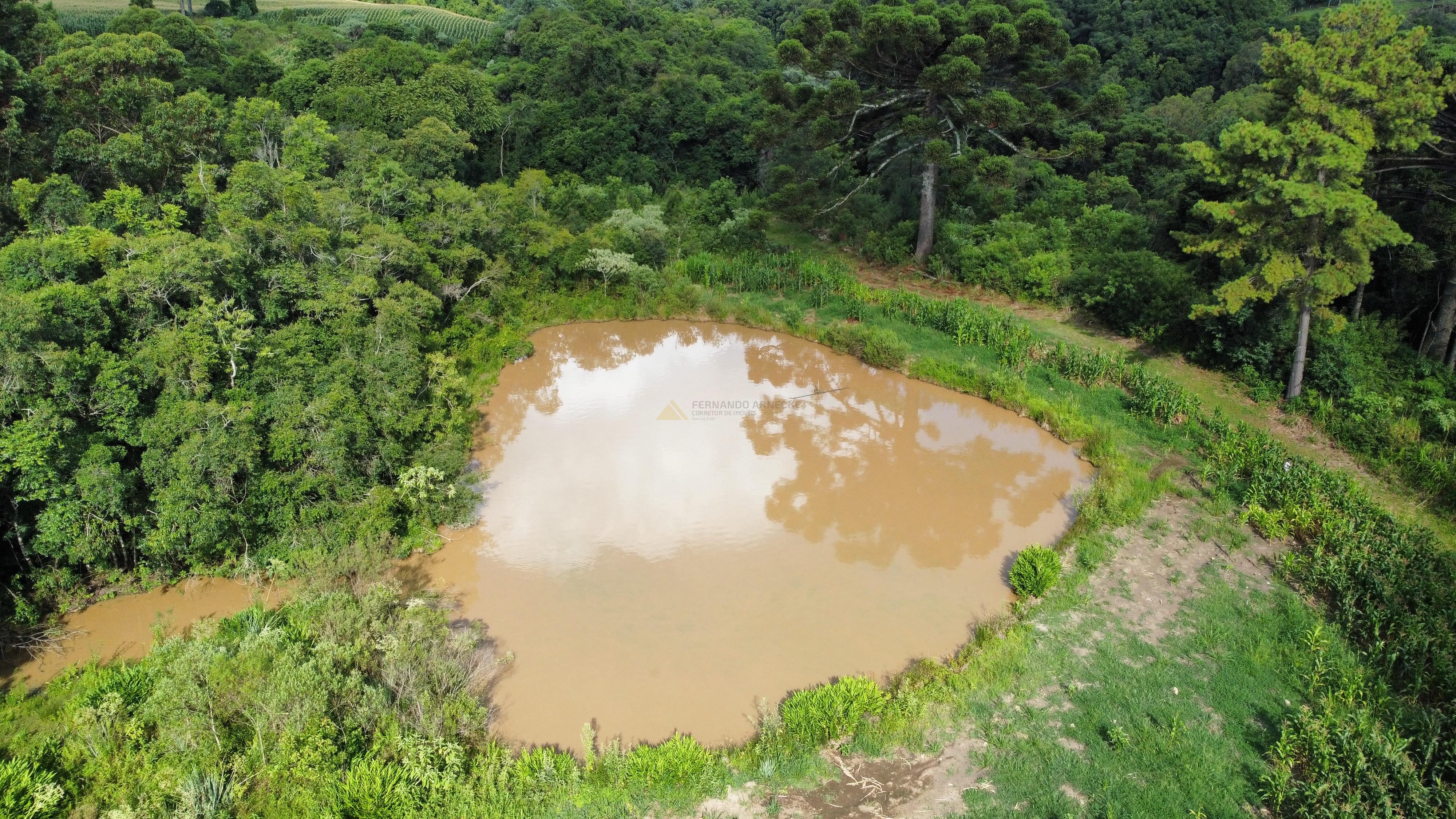 Fazenda à venda, 60000m² - Foto 12