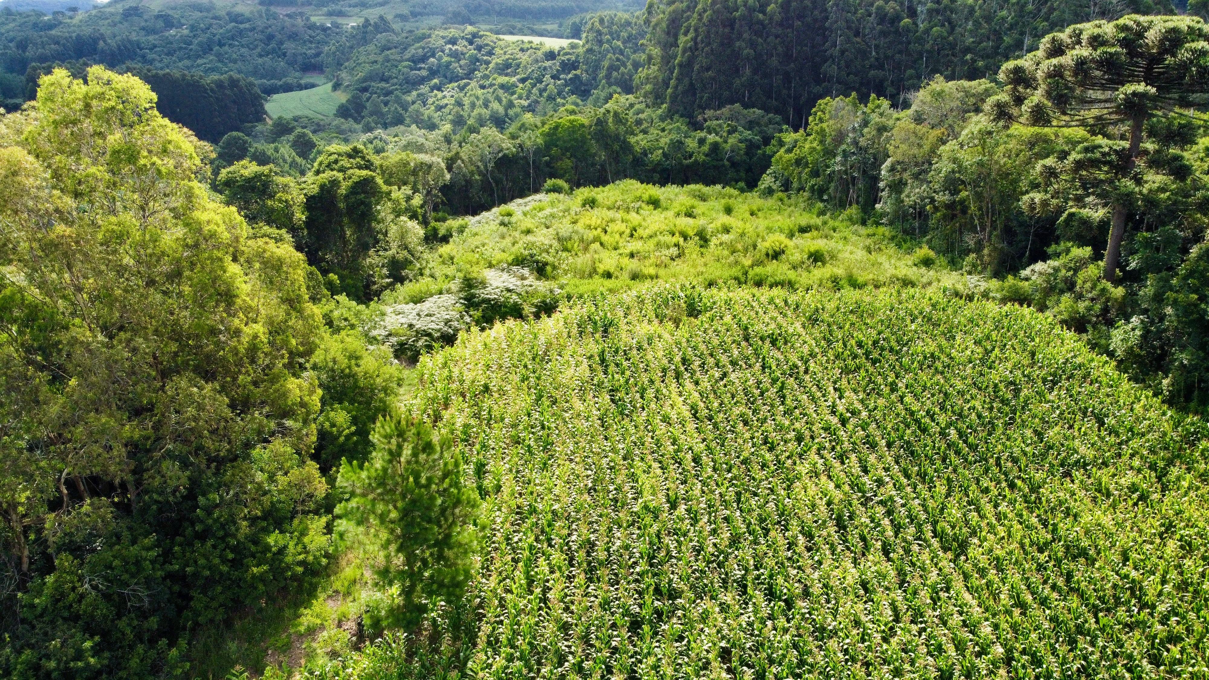 Fazenda à venda, 60000m² - Foto 16