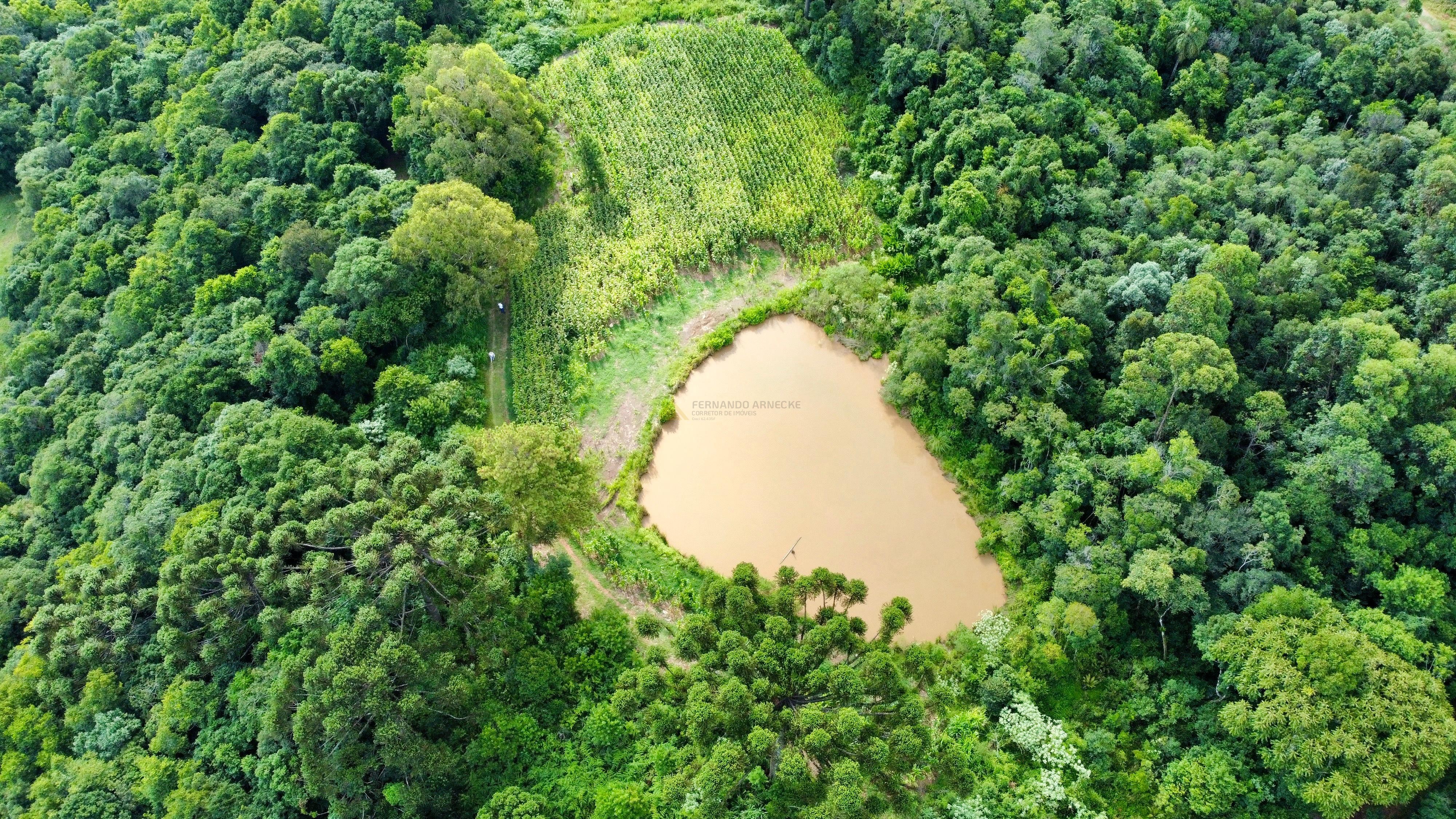 Fazenda à venda, 60000m² - Foto 17