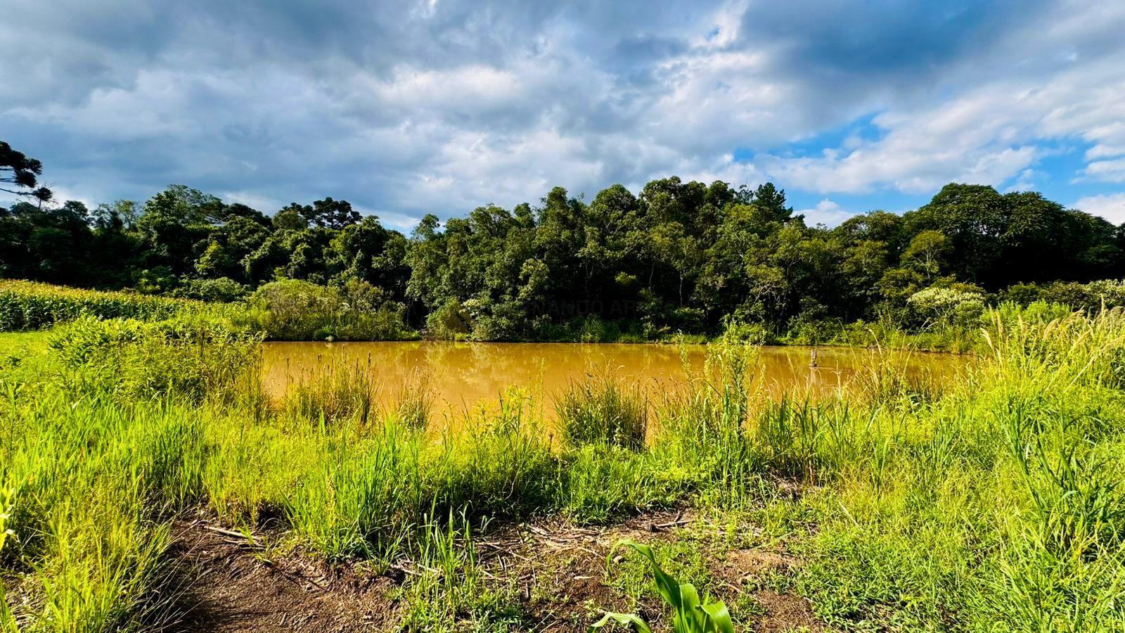 Fazenda à venda, 60000m² - Foto 2