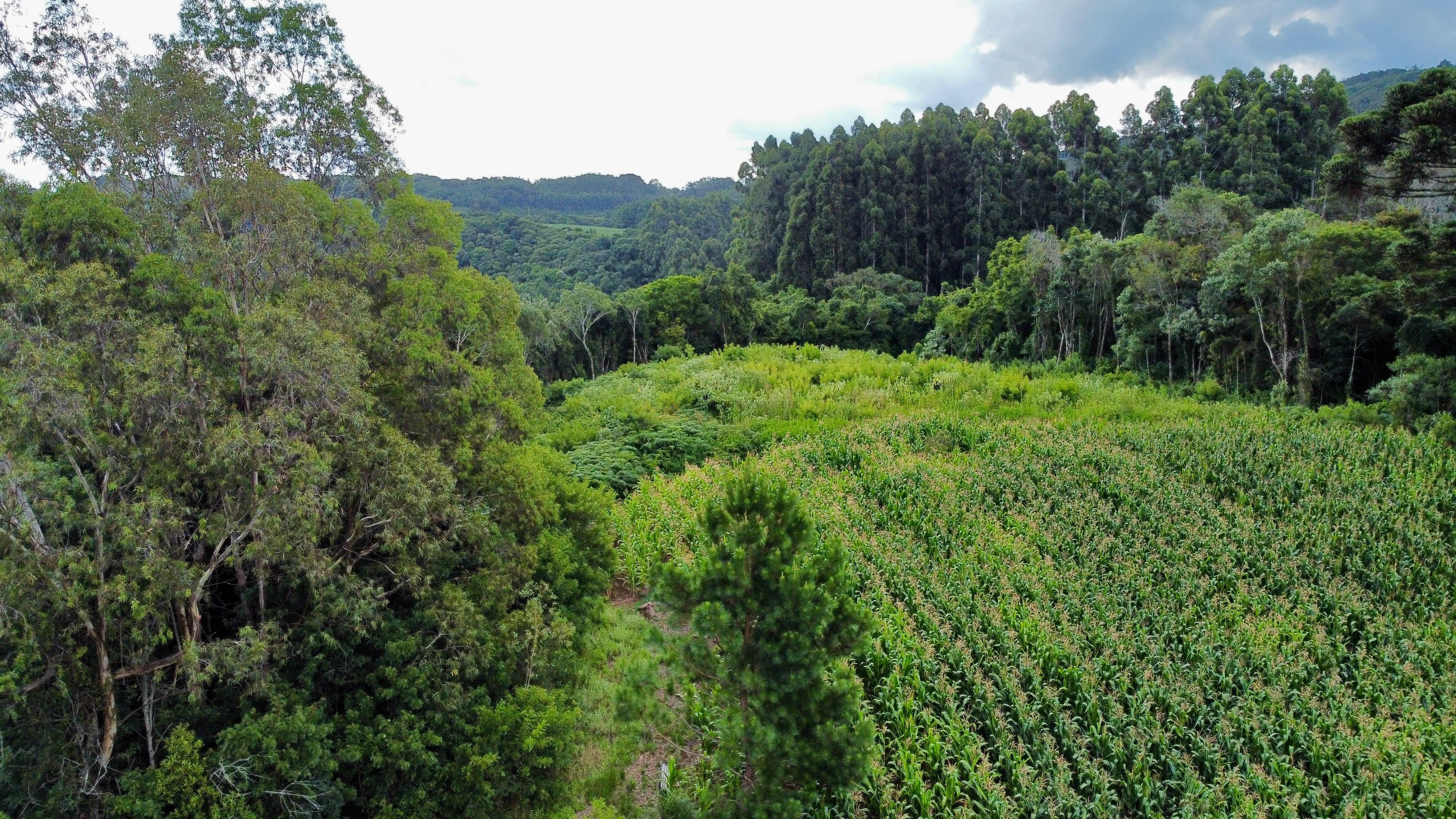 Fazenda à venda, 60000m² - Foto 20