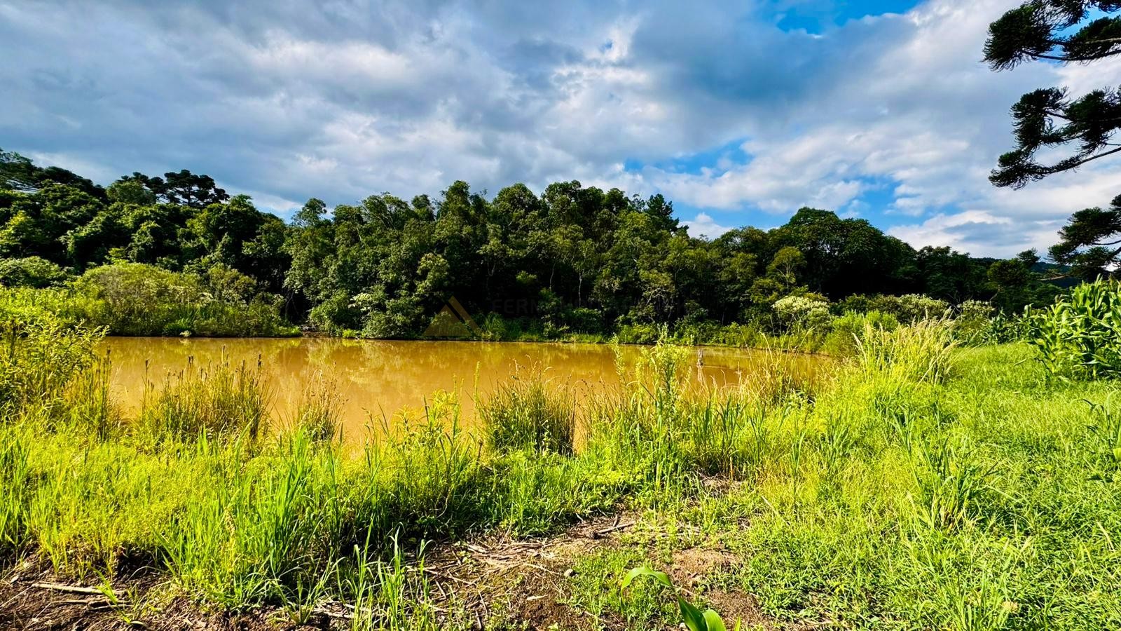 Fazenda à venda, 60000m² - Foto 3