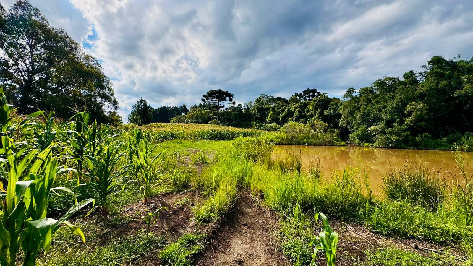 Fazenda à venda, 60000m² - Foto 8