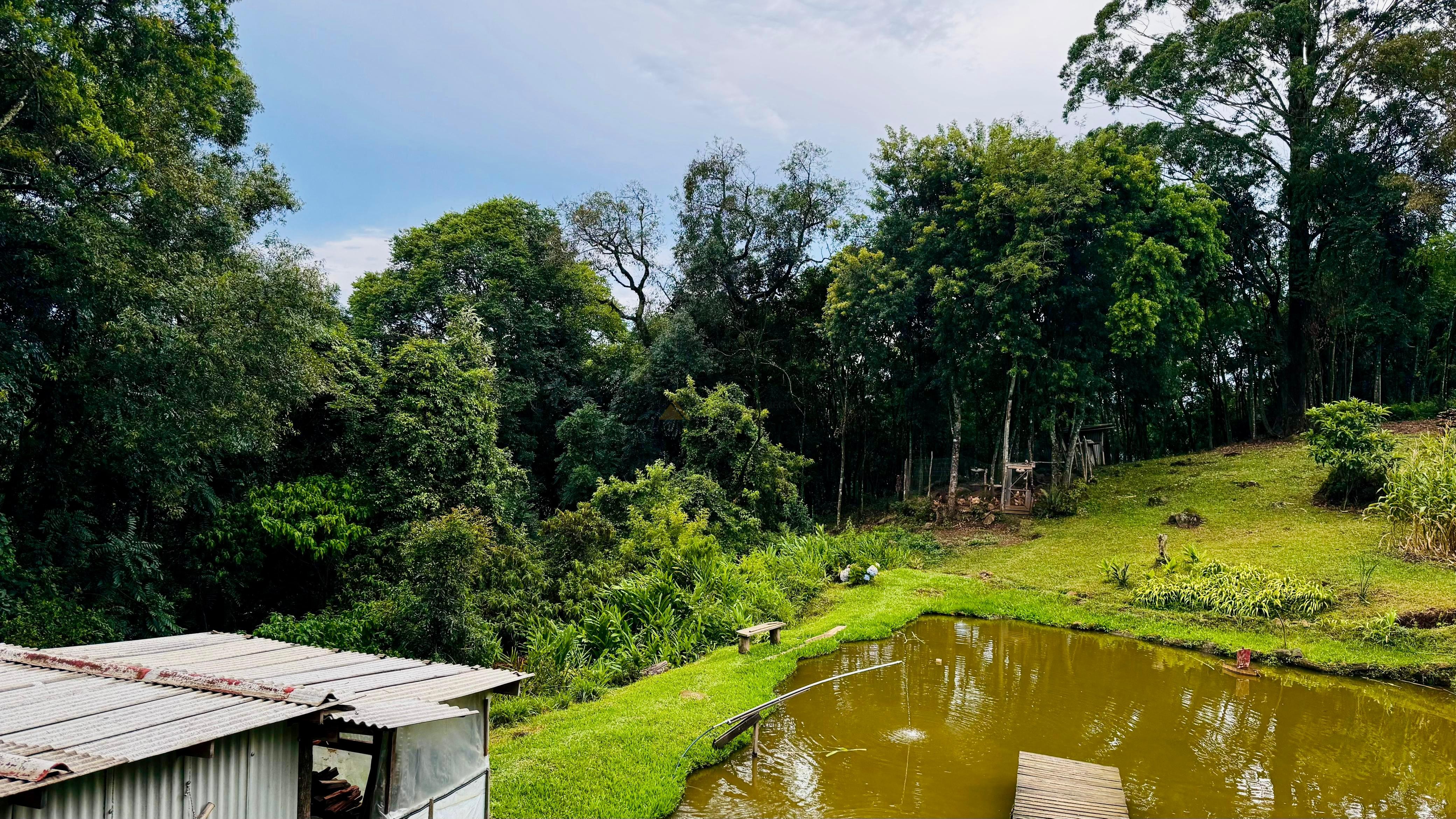 Fazenda à venda com 2 quartos - Foto 10