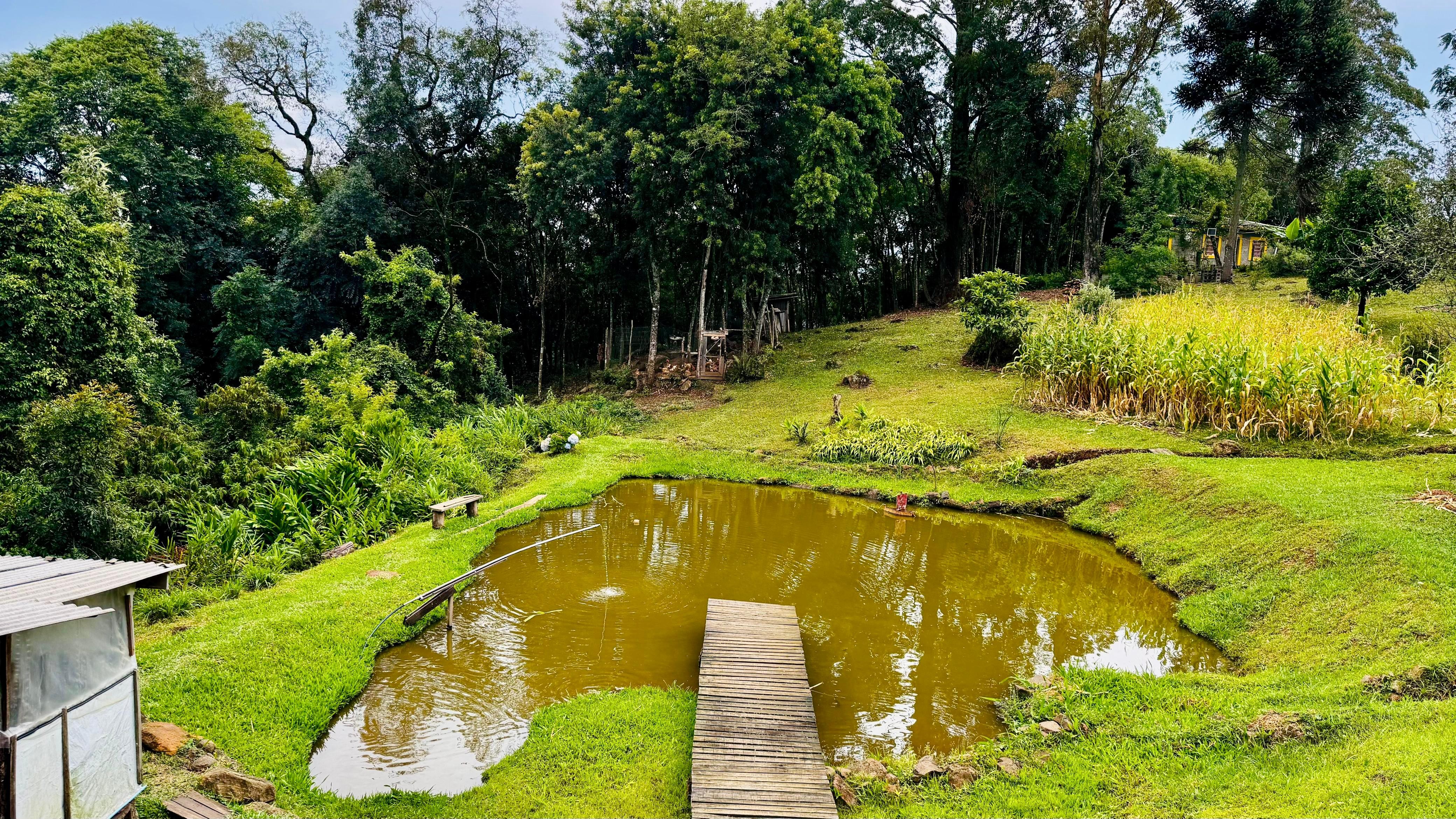 Fazenda à venda com 2 quartos - Foto 11