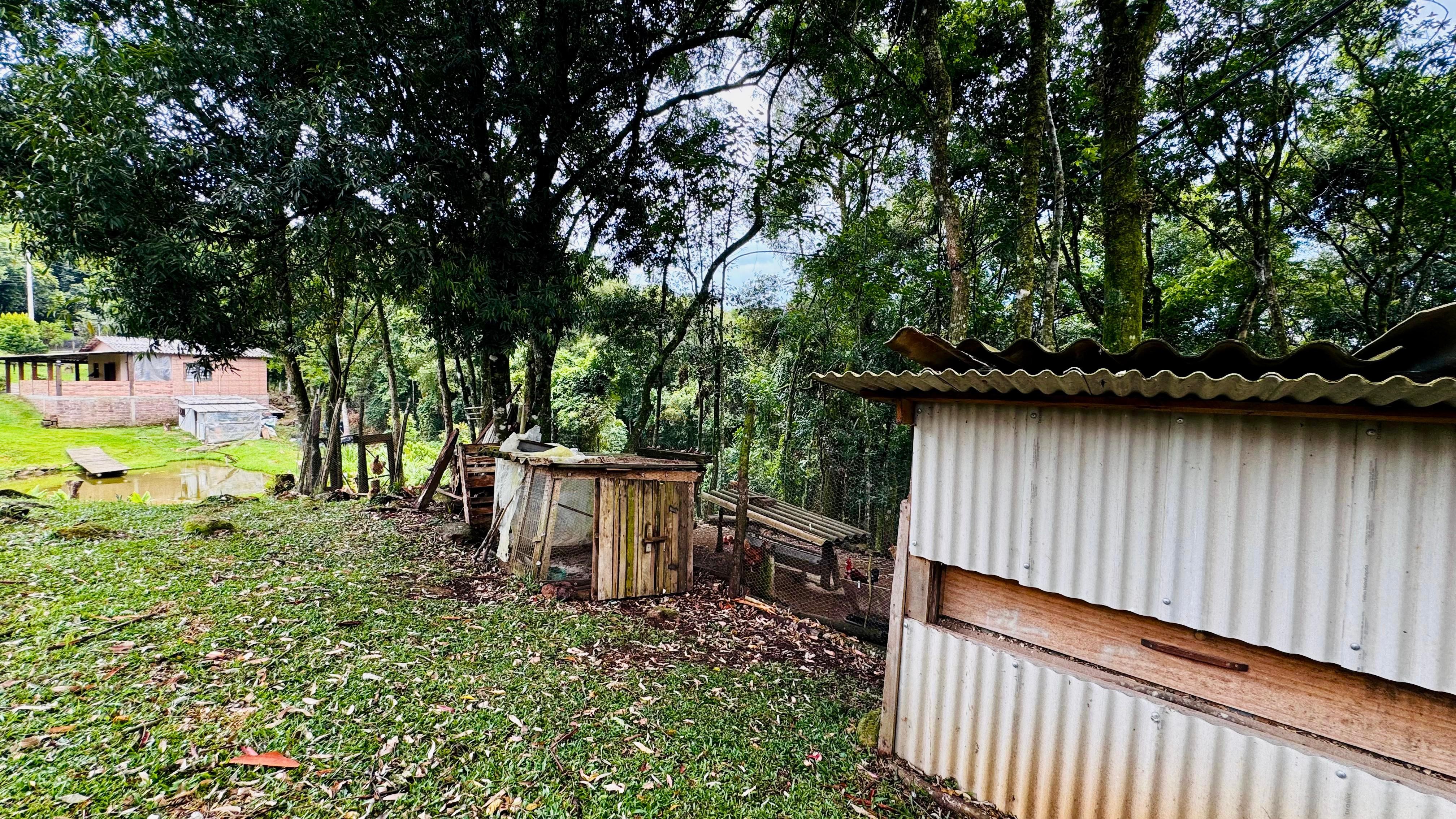 Fazenda à venda com 2 quartos - Foto 12