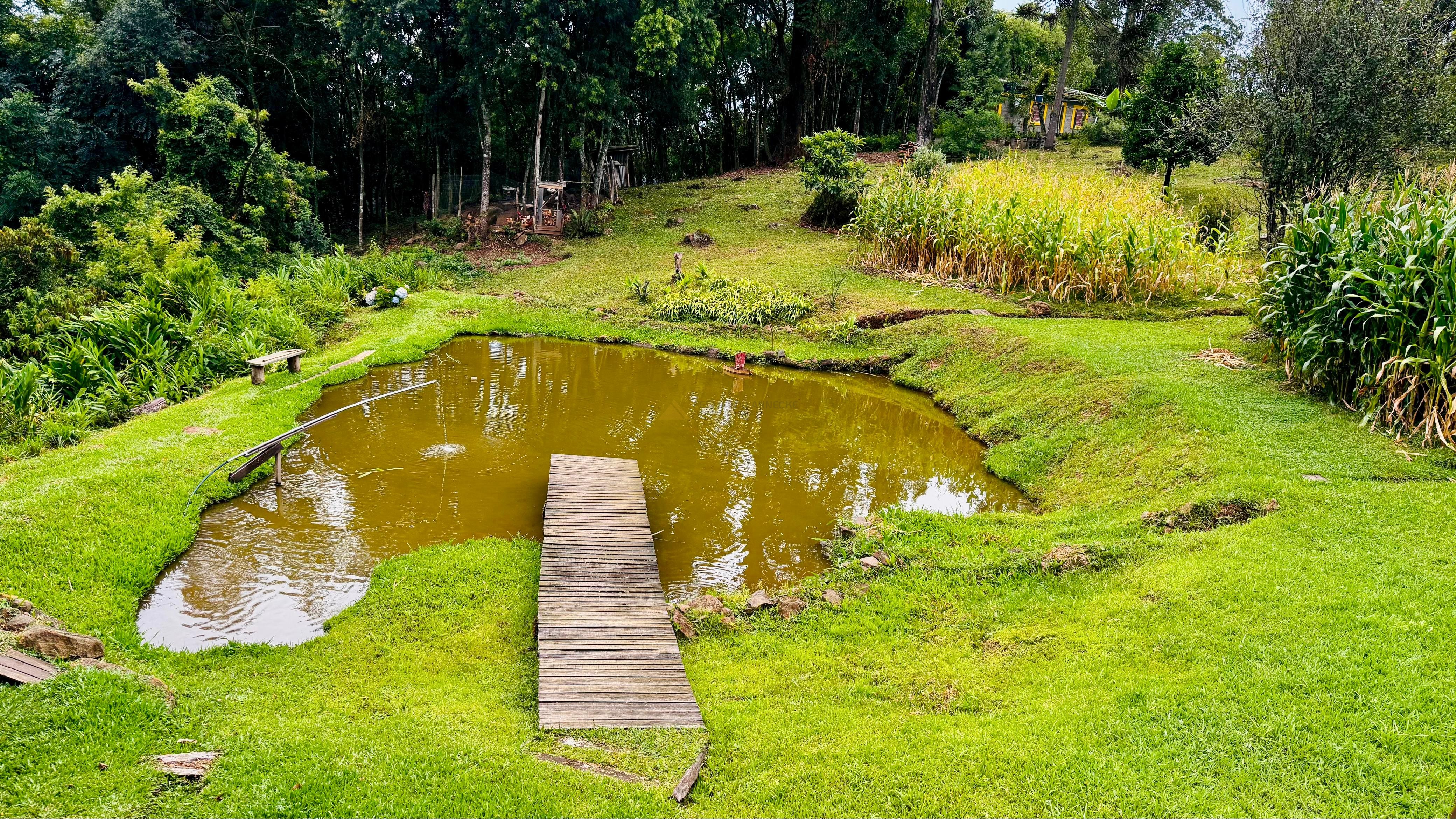 Fazenda à venda com 2 quartos - Foto 3