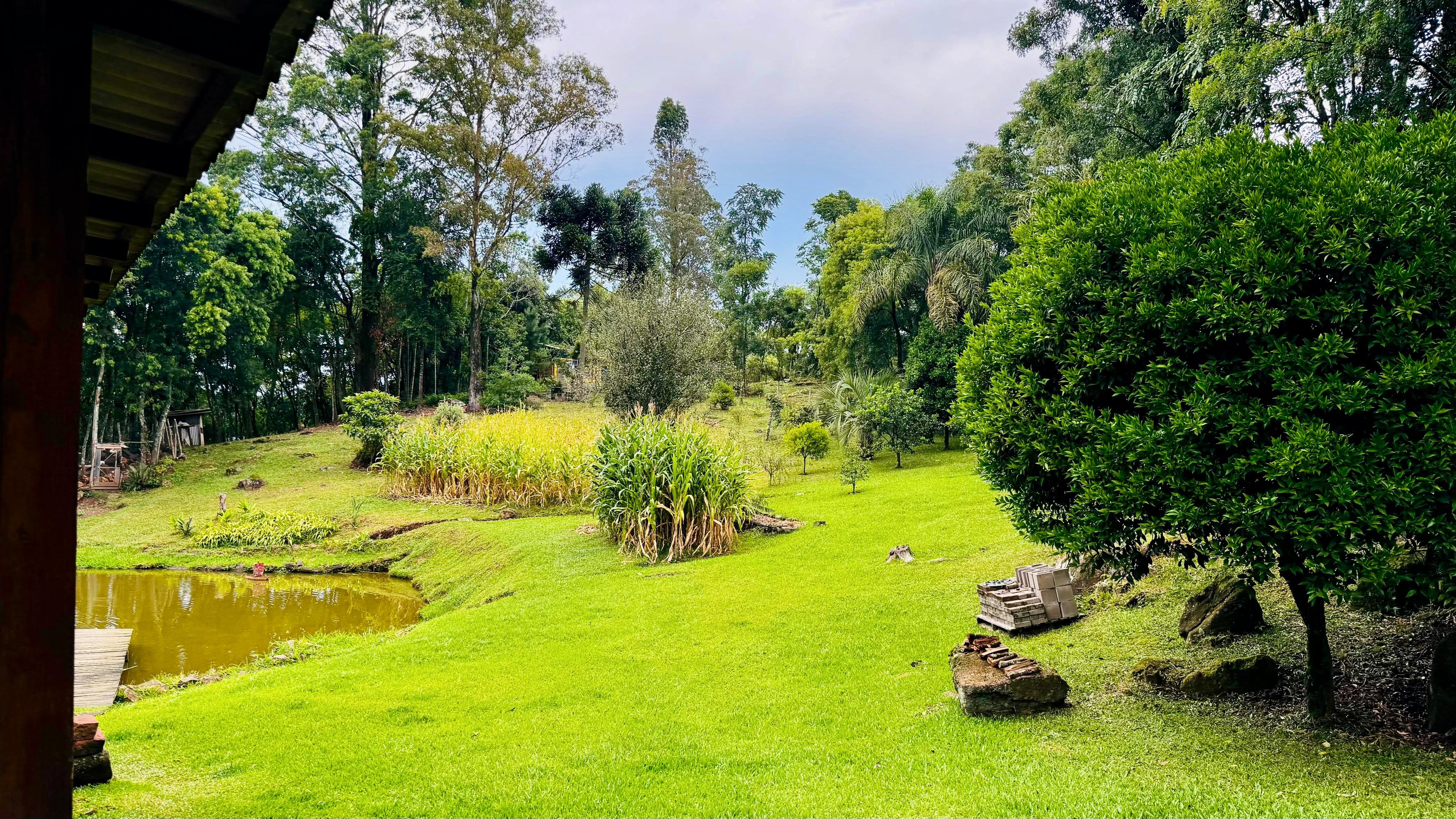 Fazenda à venda com 2 quartos - Foto 6