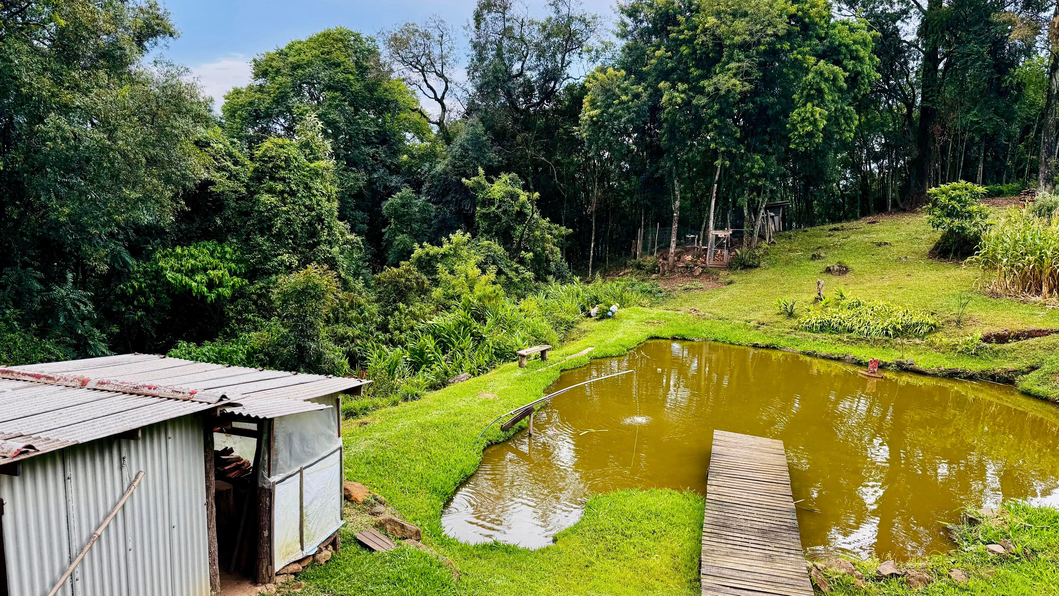 Fazenda à venda com 2 quartos - Foto 7