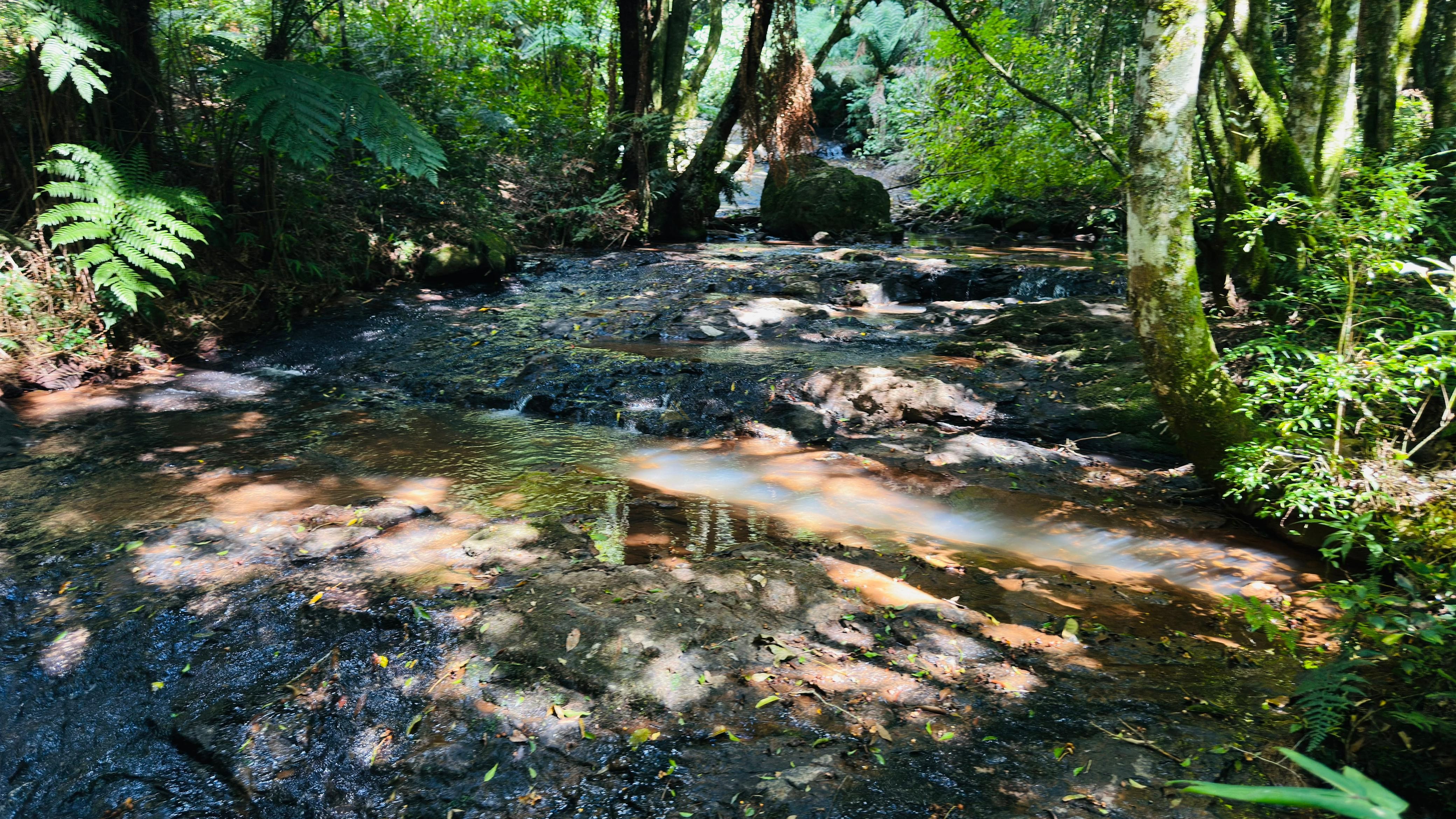 Fazenda à venda, 29000m² - Foto 11