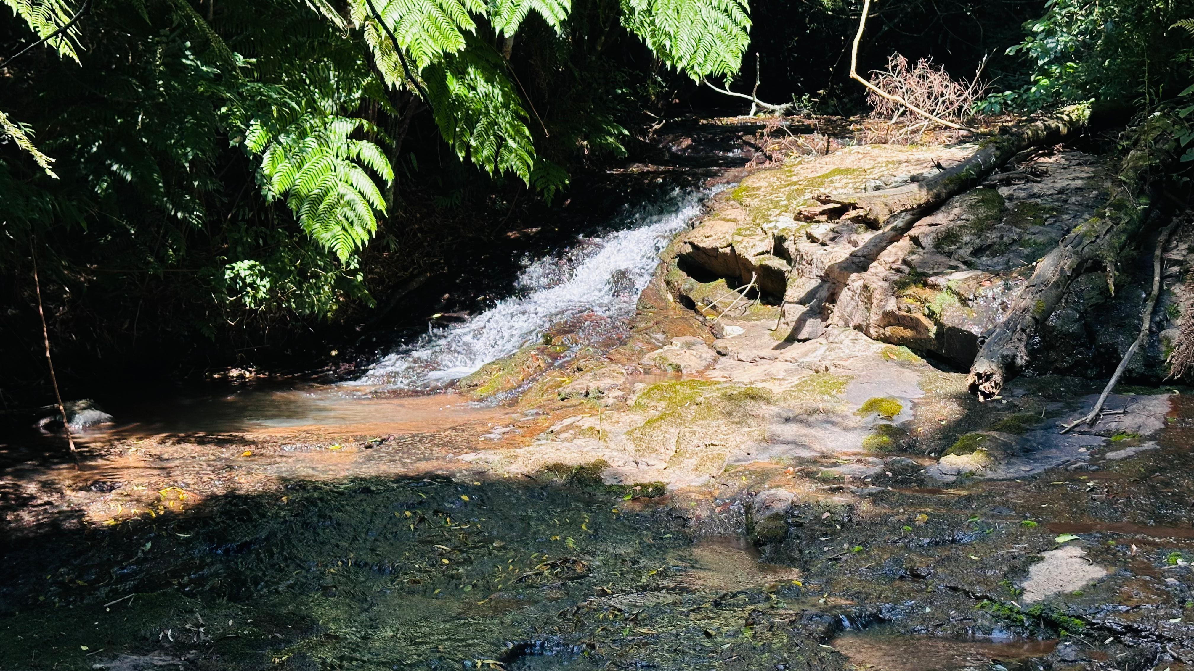 Fazenda à venda, 29000m² - Foto 12