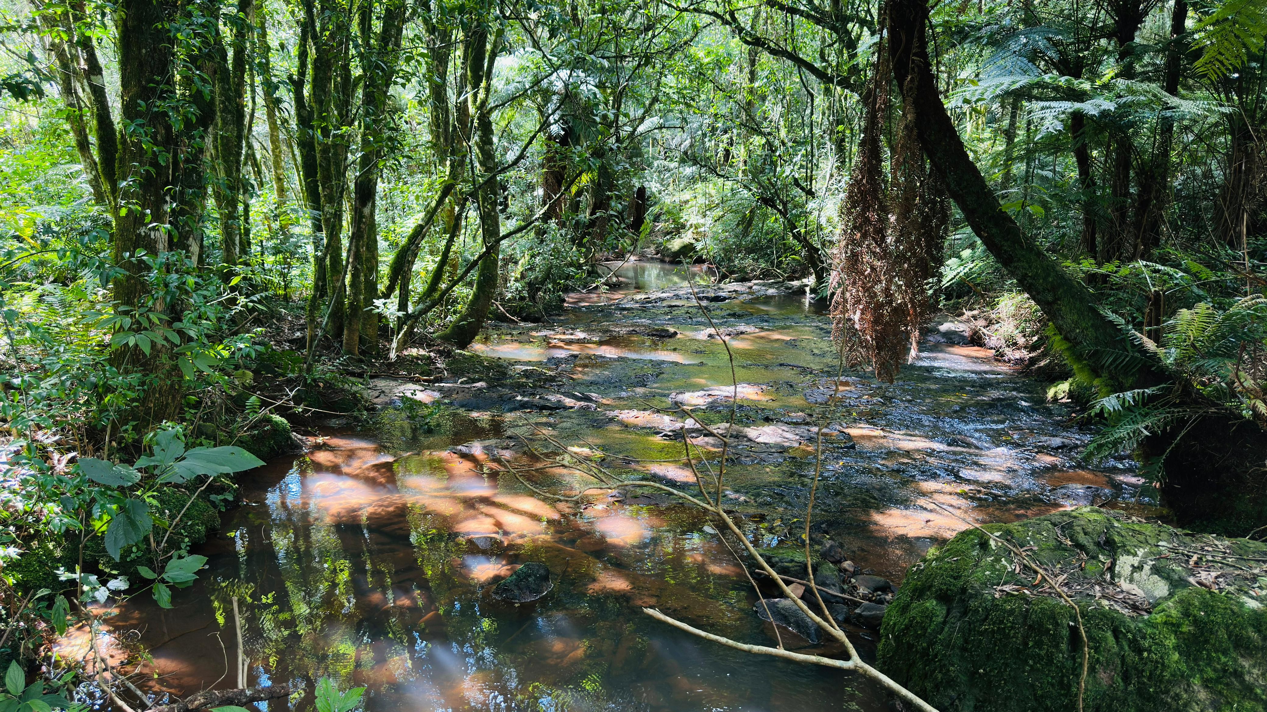 Fazenda à venda, 29000m² - Foto 13