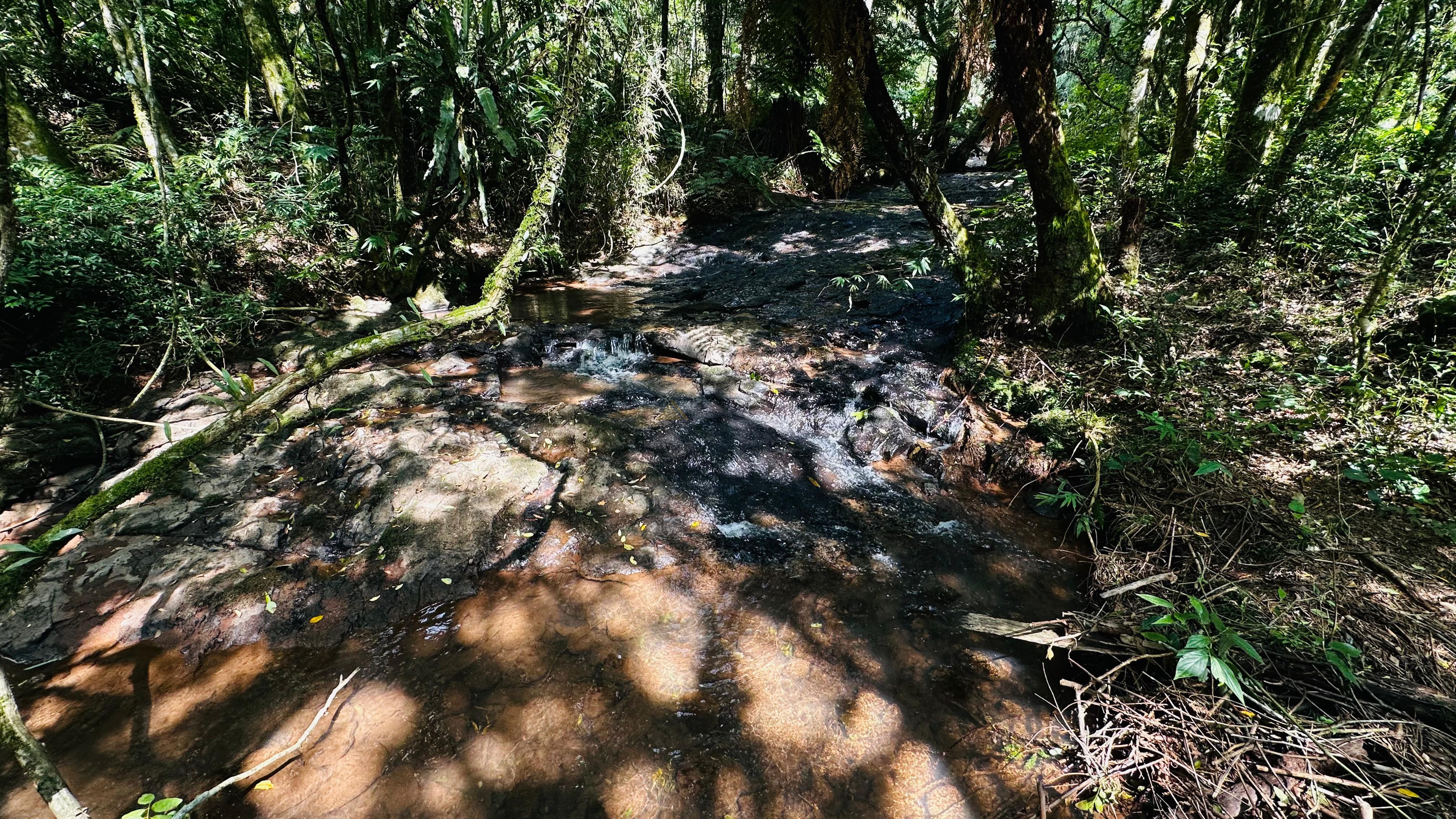 Fazenda à venda, 29000m² - Foto 8