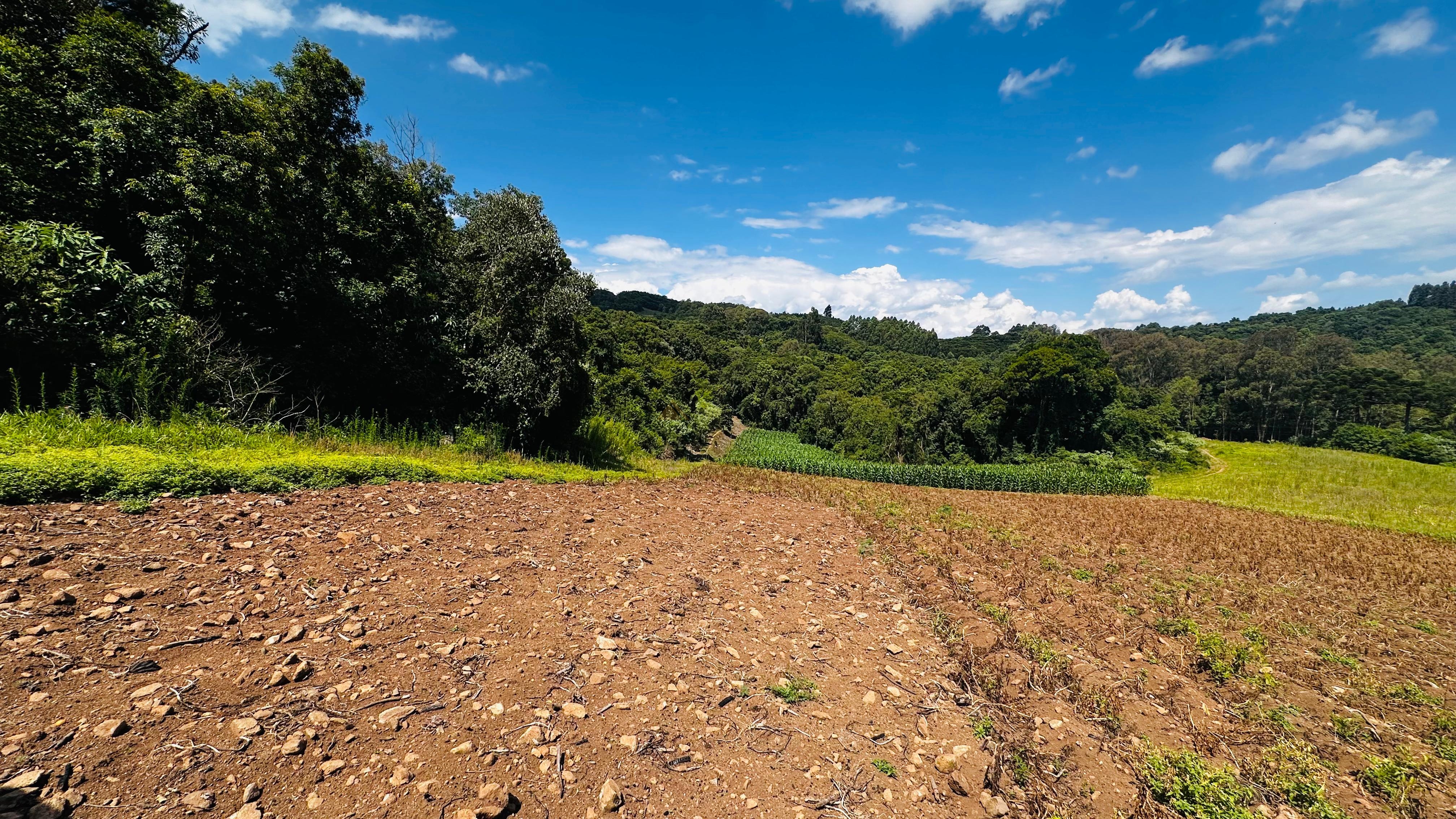 Fazenda à venda com 2 quartos, 58000m² - Foto 1