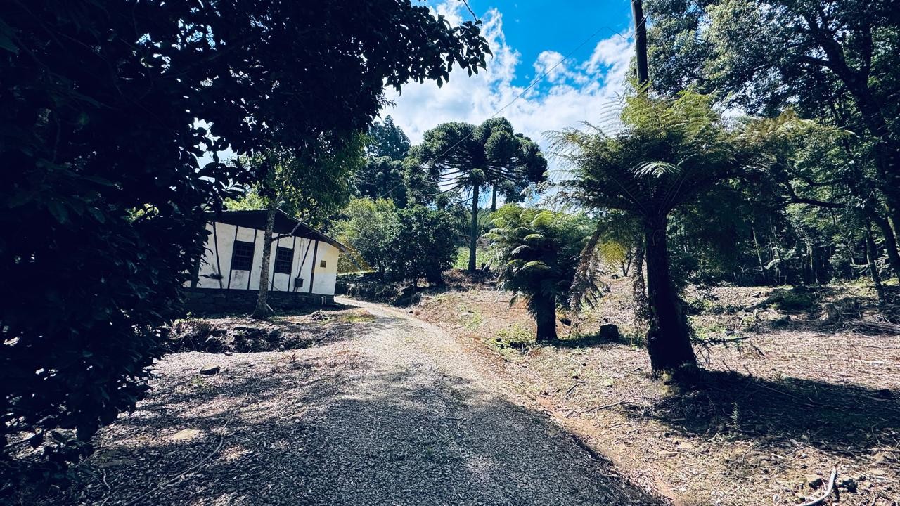 Fazenda à venda com 2 quartos, 58000m² - Foto 18