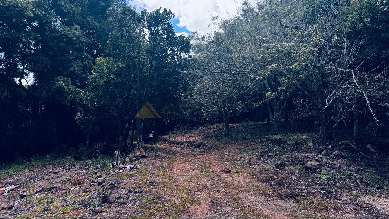 Fazenda à venda com 2 quartos, 58000m² - Foto 28