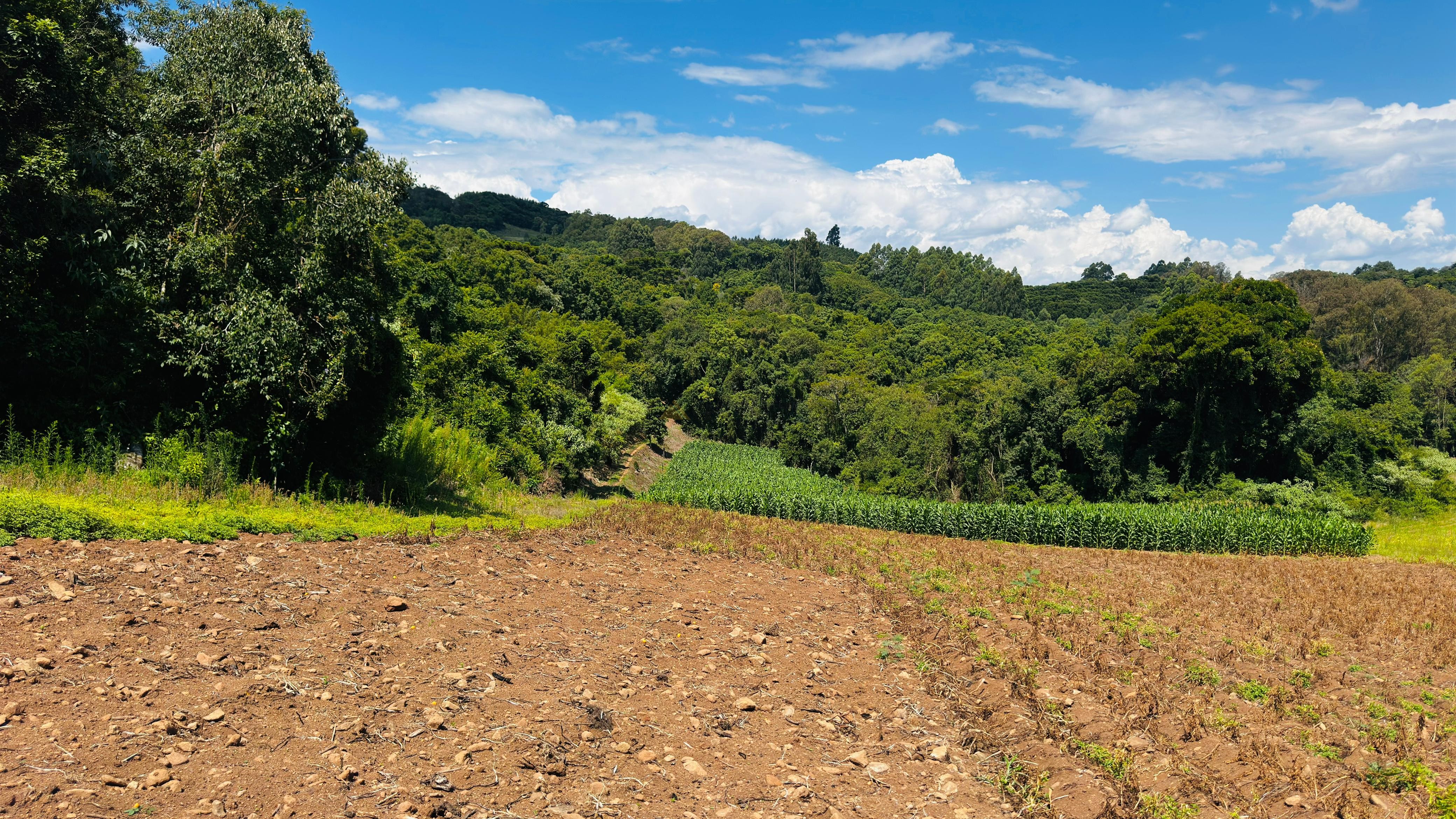 Fazenda à venda com 2 quartos, 58000m² - Foto 3